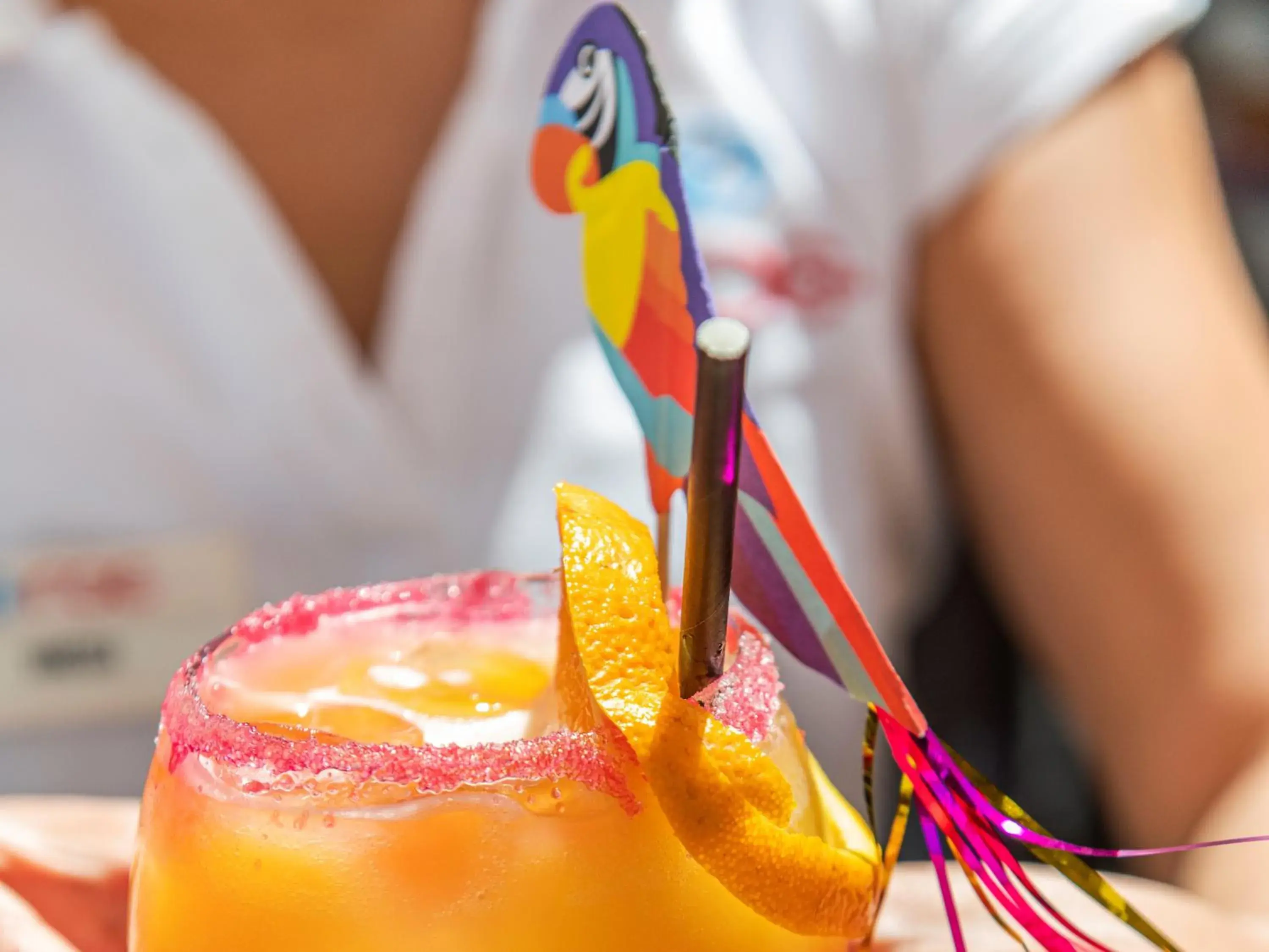 Lounge or bar in Roc Portonova Apartaments Lounge or bar in Roc Portonova Apartaments