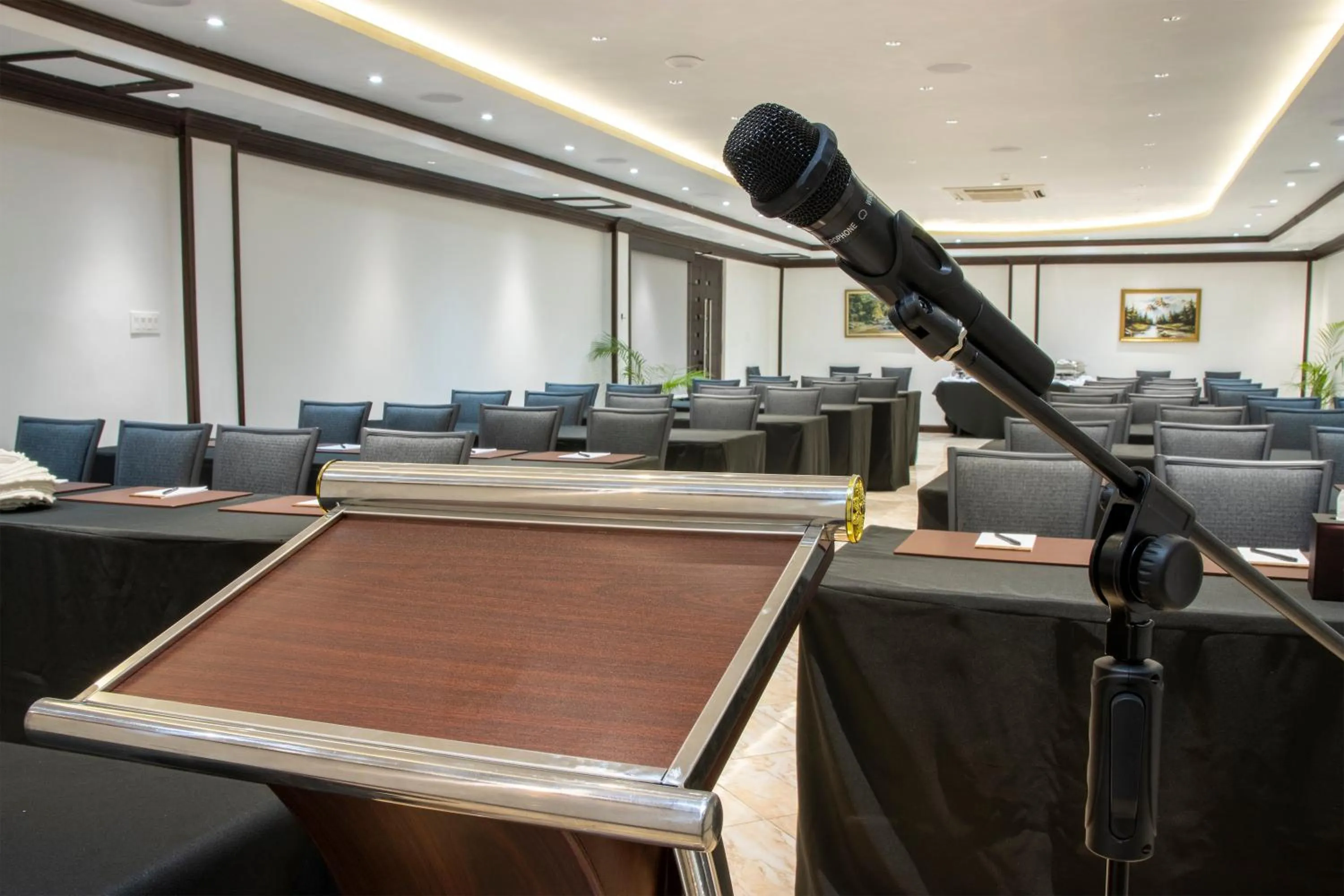 Meeting/conference room in Sago Palm Hotel