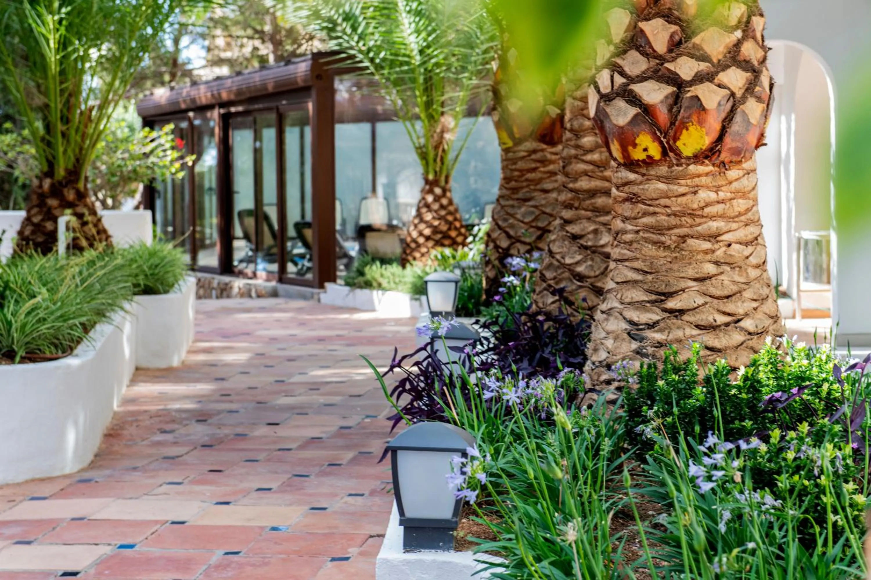 Garden in Hotel ROC Illetas & SPA