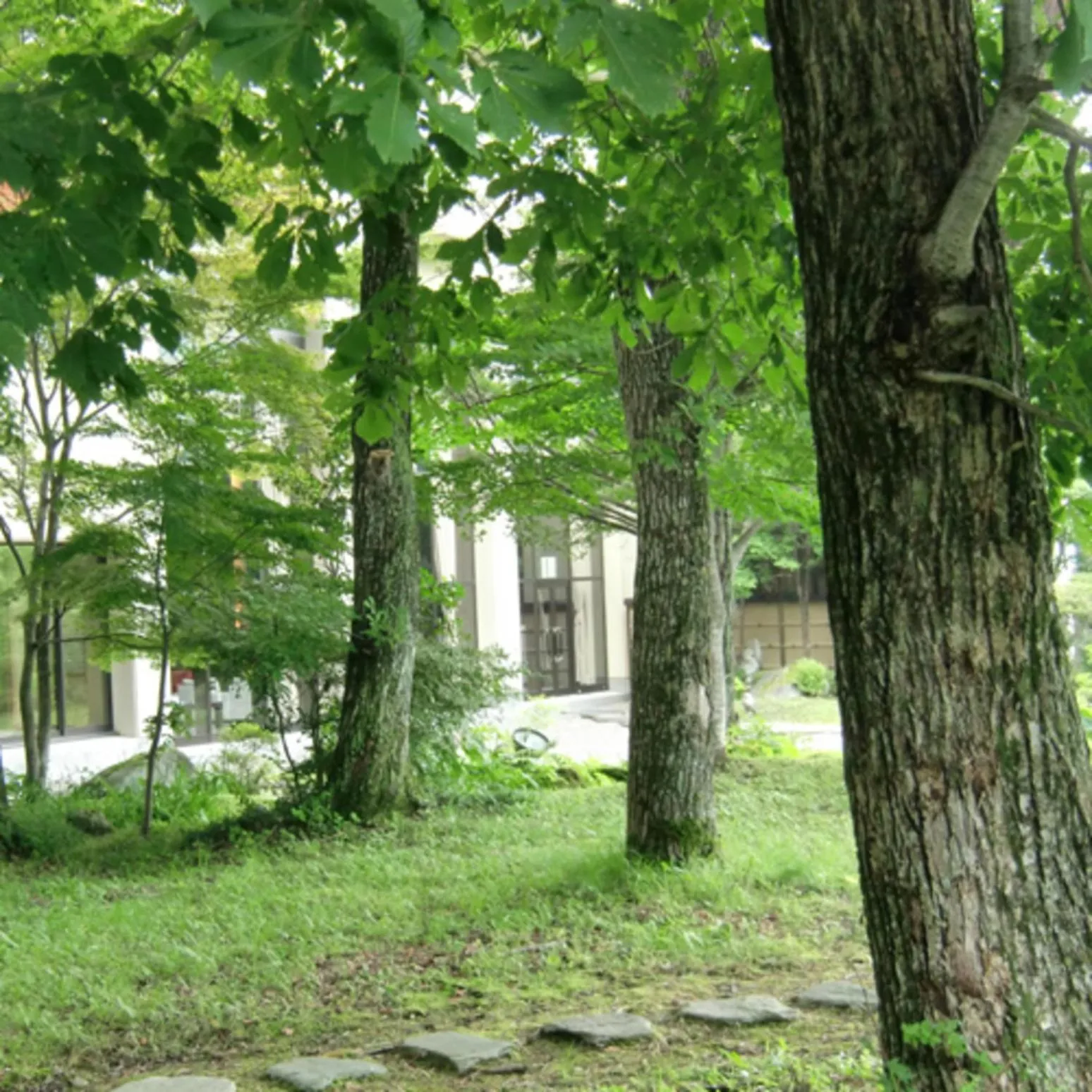 Watari Onsen Bettei-Kaede