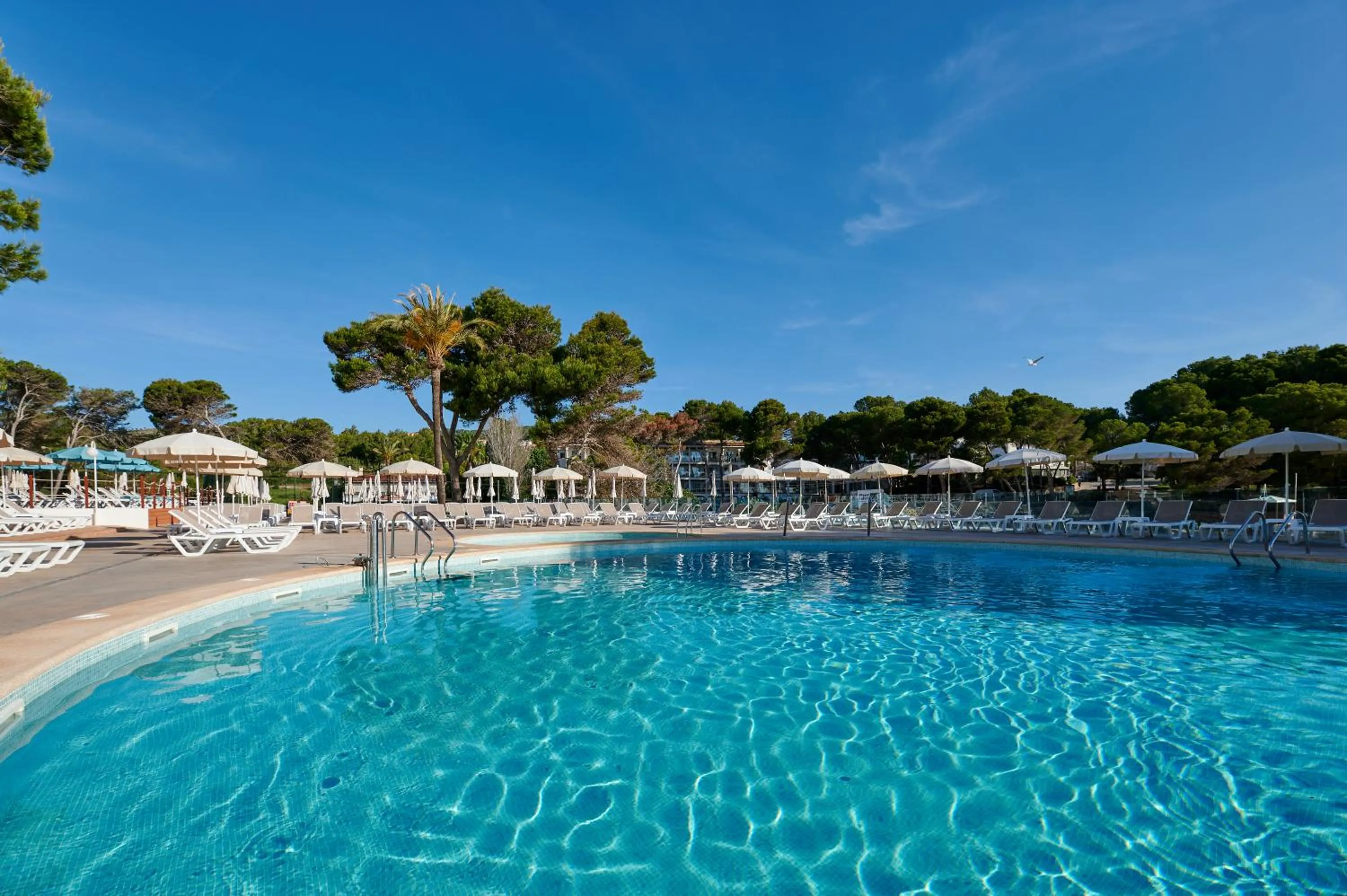 Swimming pool in AluaSoul Carolina - Adults Only