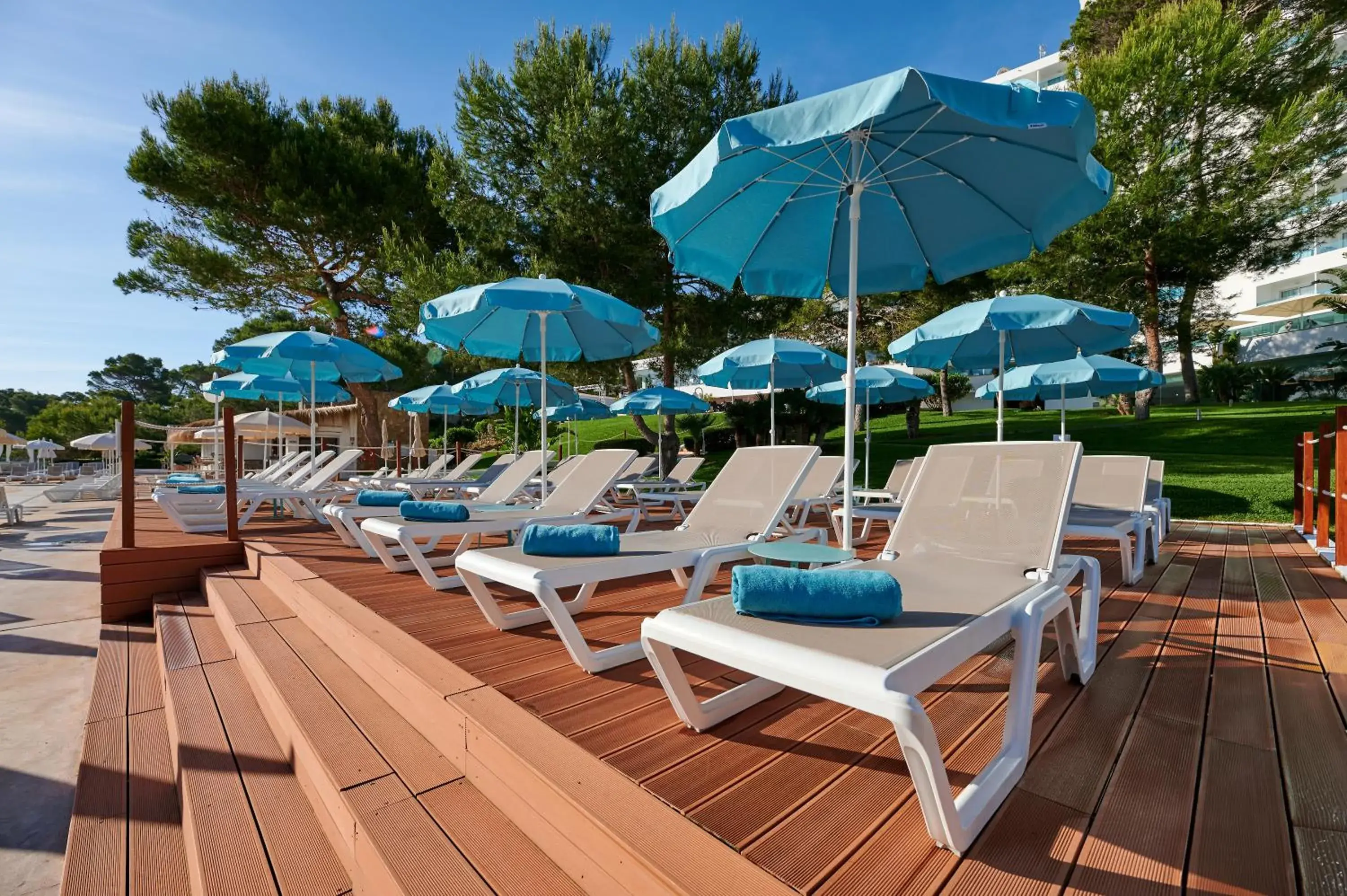 sunbed in AluaSoul Carolina - Adults Only sunbed in AluaSoul Carolina - Adults Only