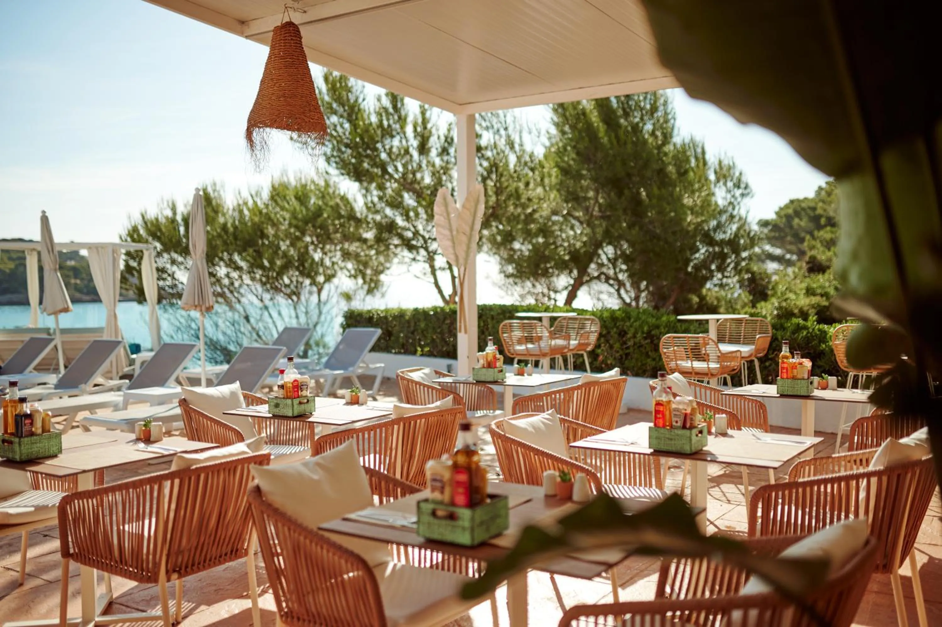 Food and drinks in AluaSoul Carolina - Adults Only