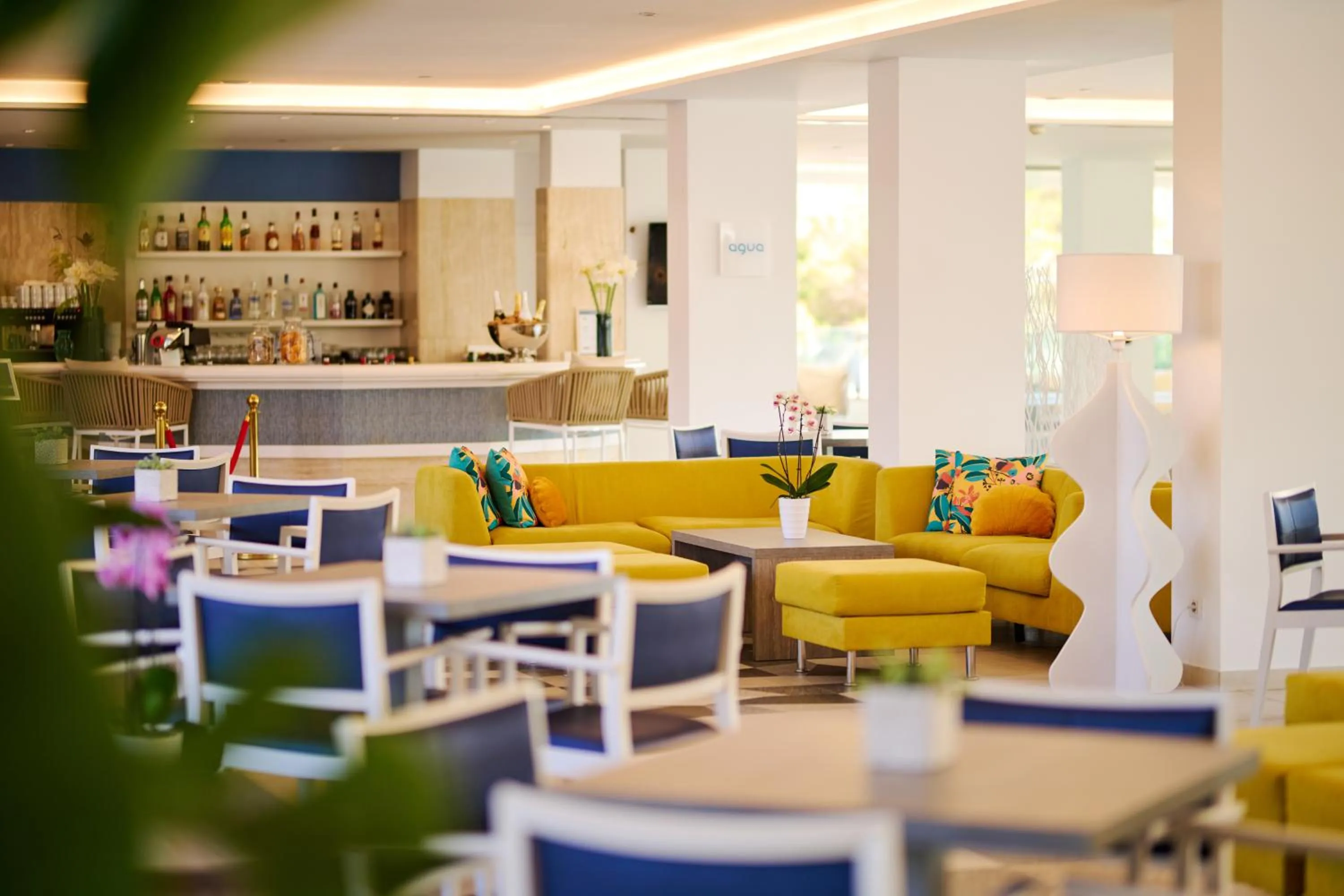 Lounge or bar in AluaSoul Carolina - Adults Only