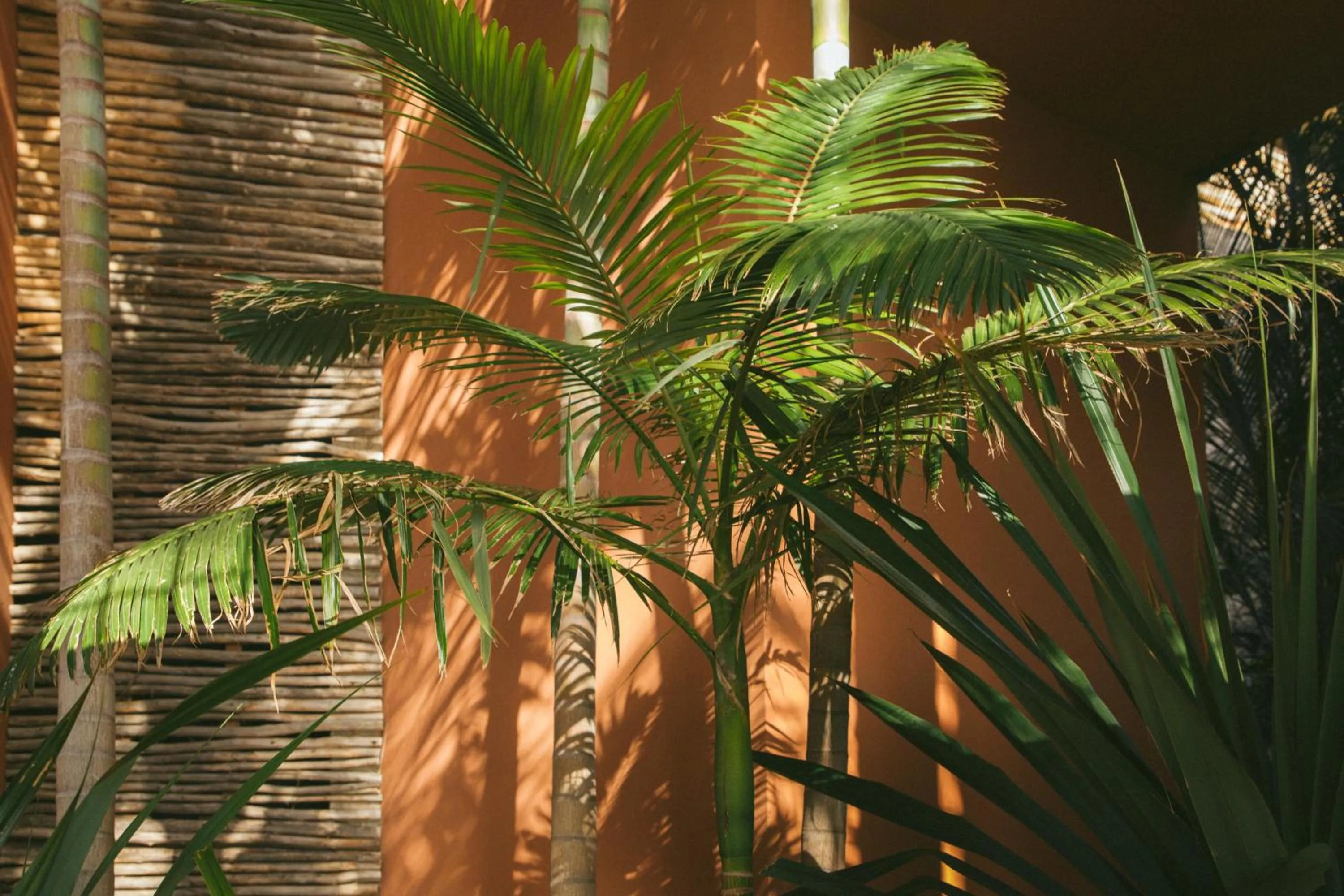 Property building in Salobre Hotel Resort & Serenity