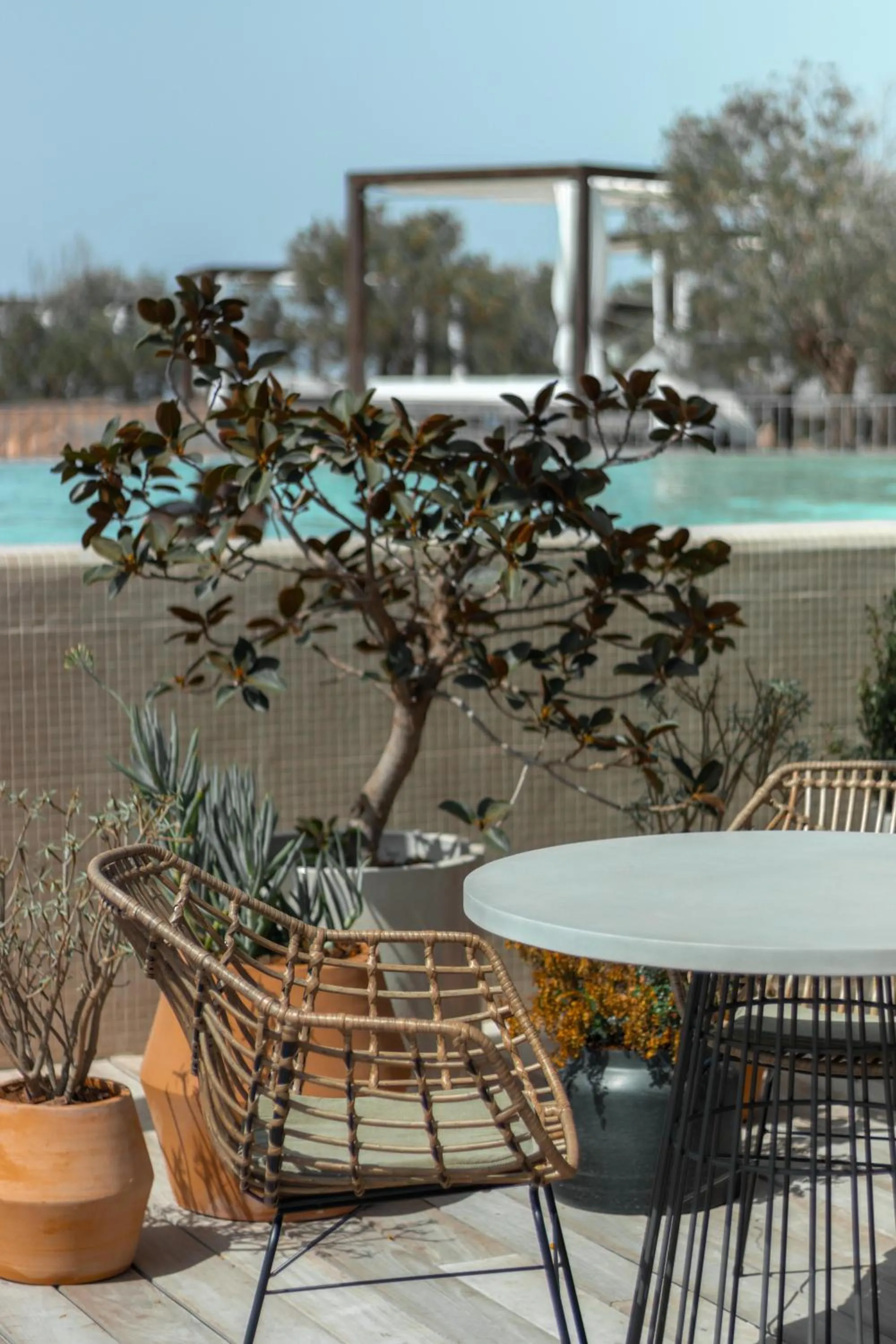 Restaurant/places to eat in Salobre Hotel Resort & Serenity