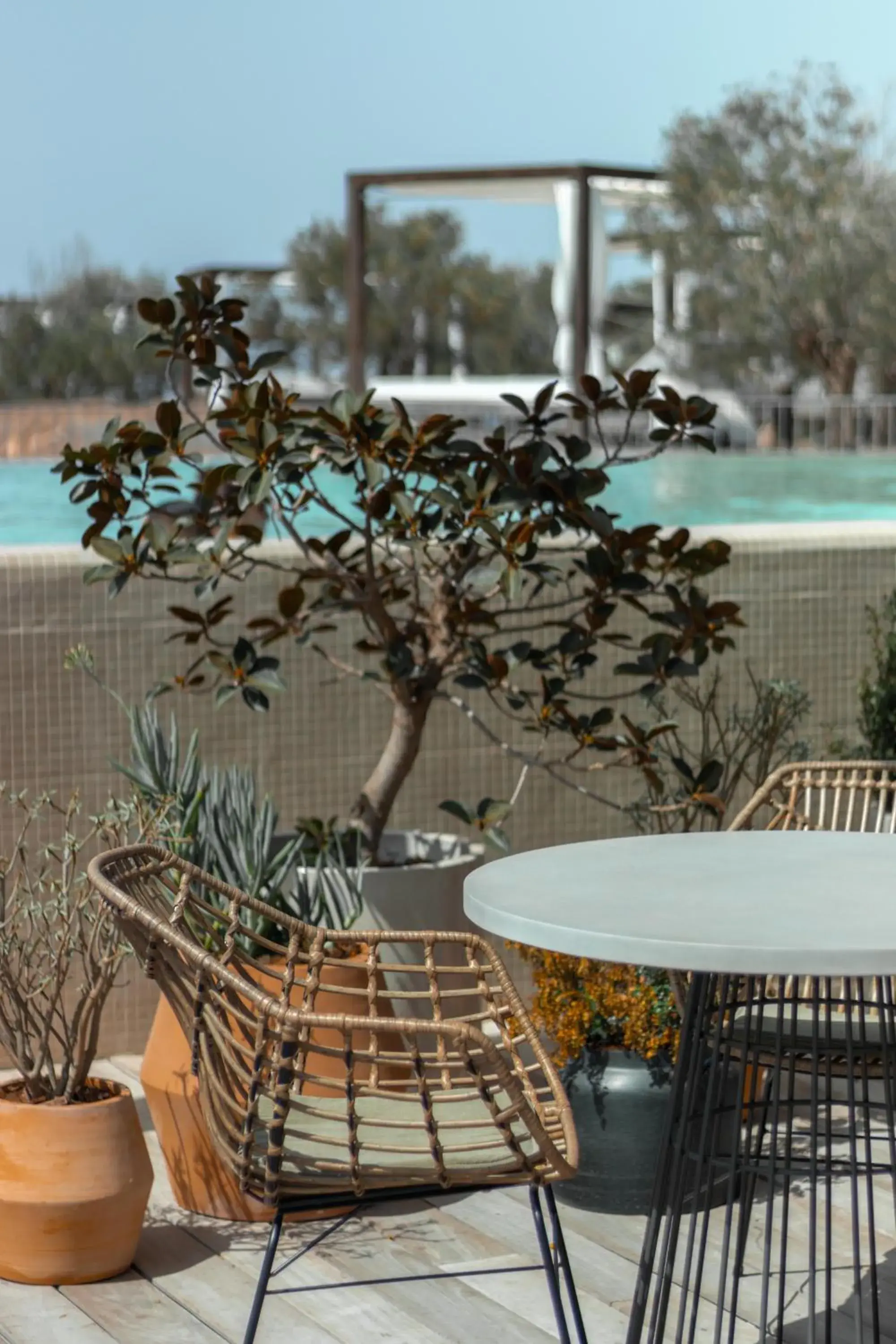 Restaurant/places to eat in Salobre Hotel Resort & Serenity Restaurant/places to eat in Salobre Hotel Resort & Serenity