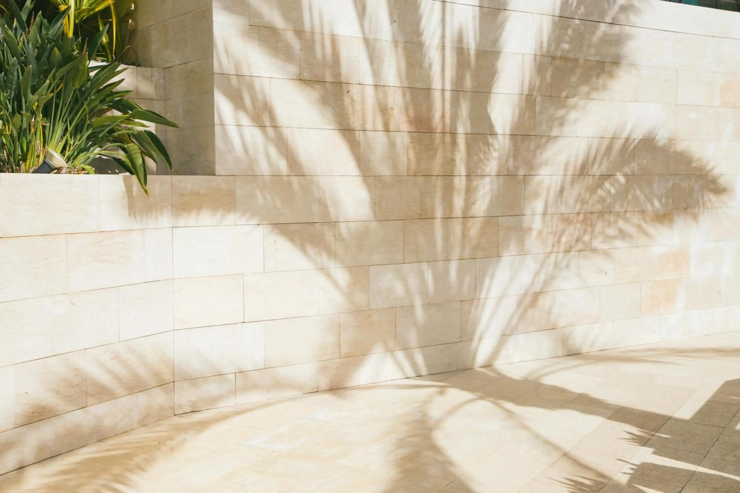 Lobby or reception in Salobre Hotel Resort & Serenity Lobby or reception in Salobre Hotel Resort & Serenity