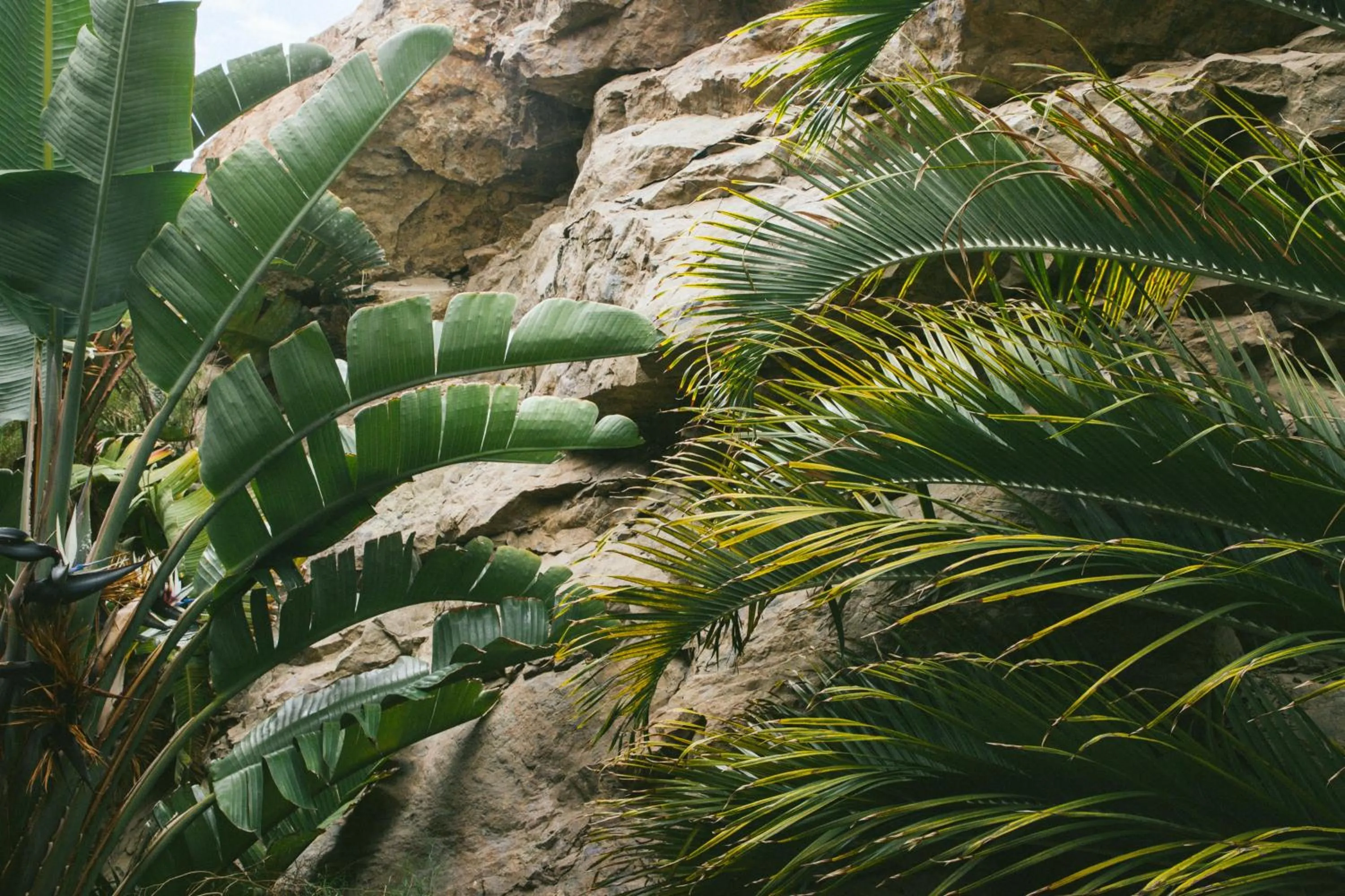 Natural landscape in Salobre Hotel Resort & Serenity