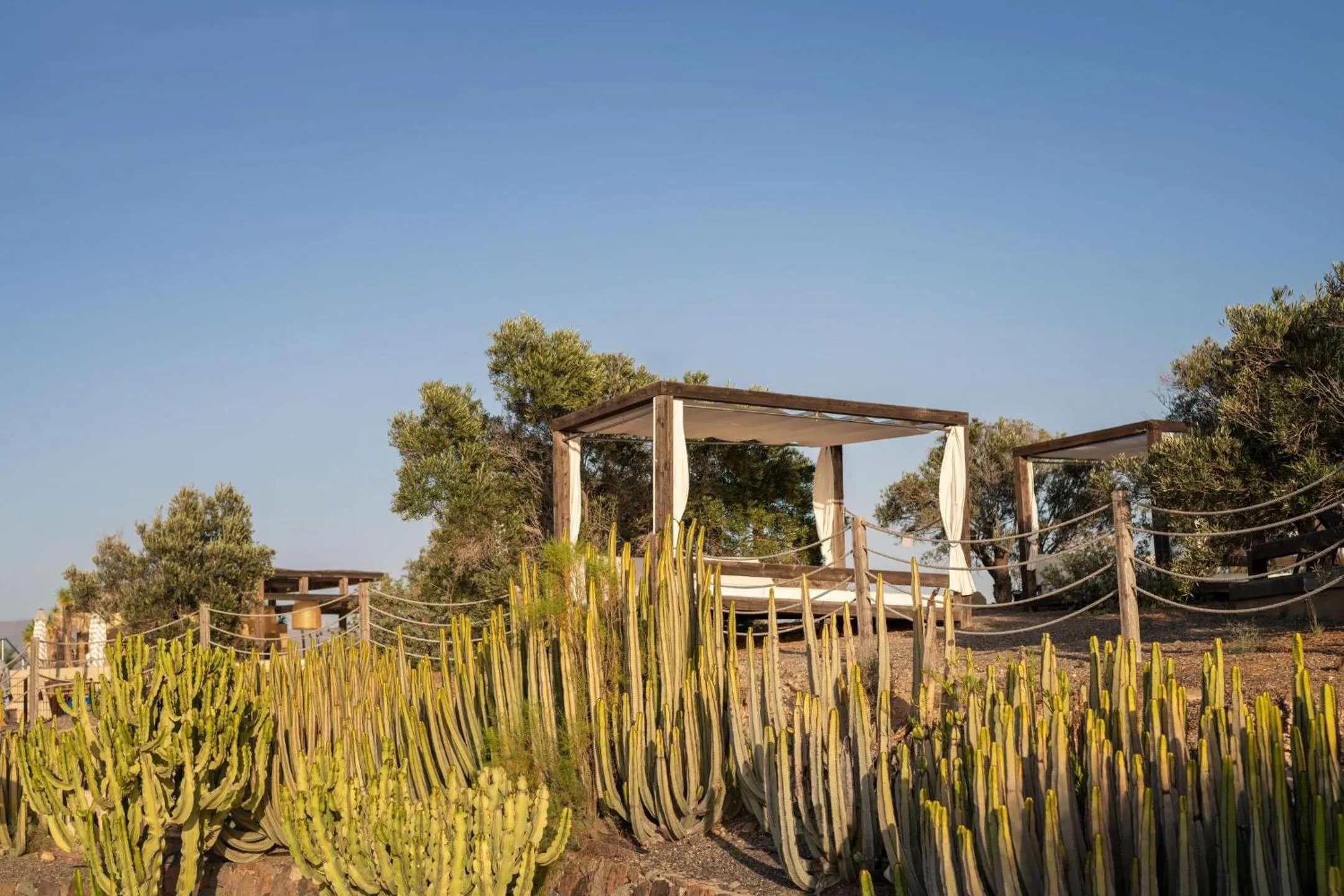 Natural landscape in Salobre Hotel Resort & Serenity