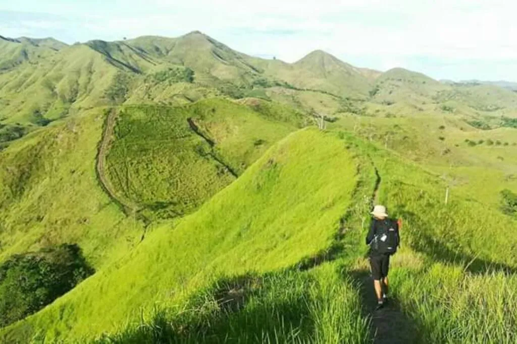 Natural landscape in Bohol Sweet Home