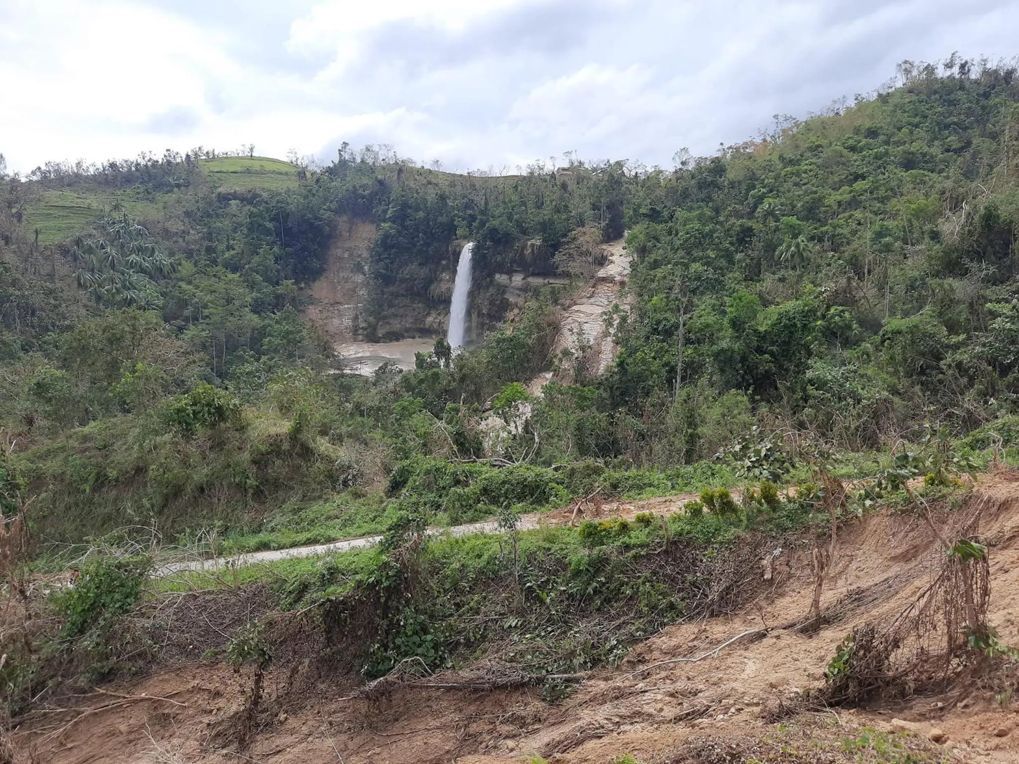 Natural landscape in Bohol Sweet Home