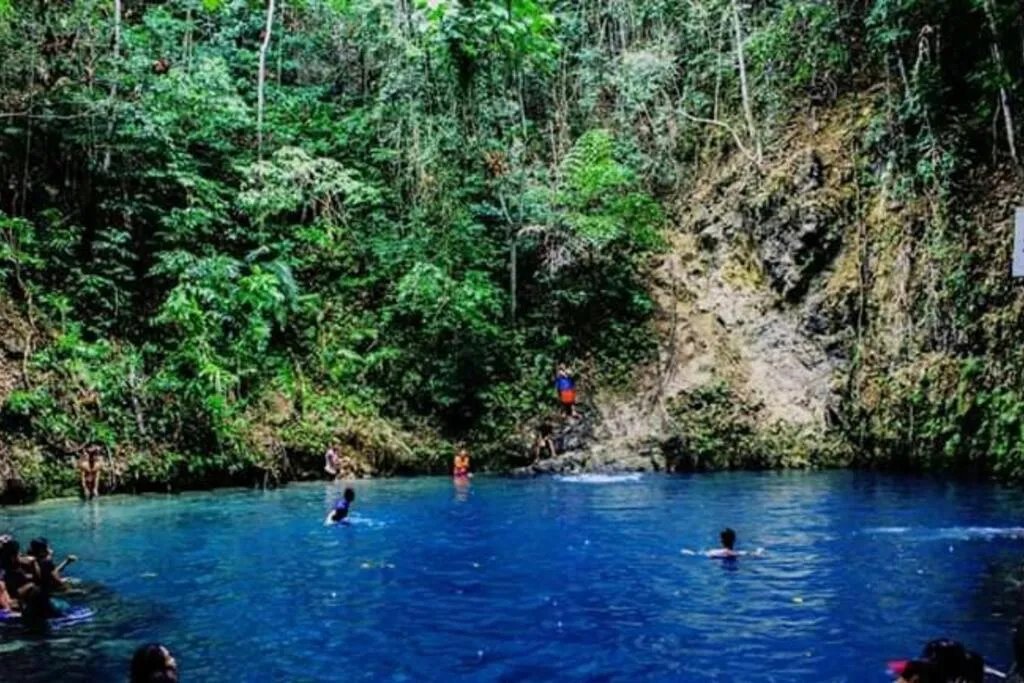 Natural landscape in Bohol Sweet Home