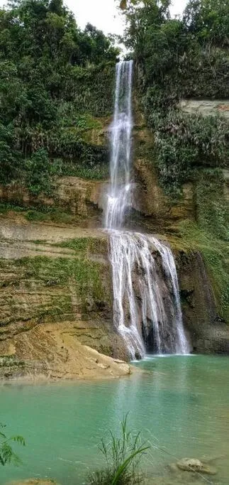 Natural landscape in Bohol Sweet Home