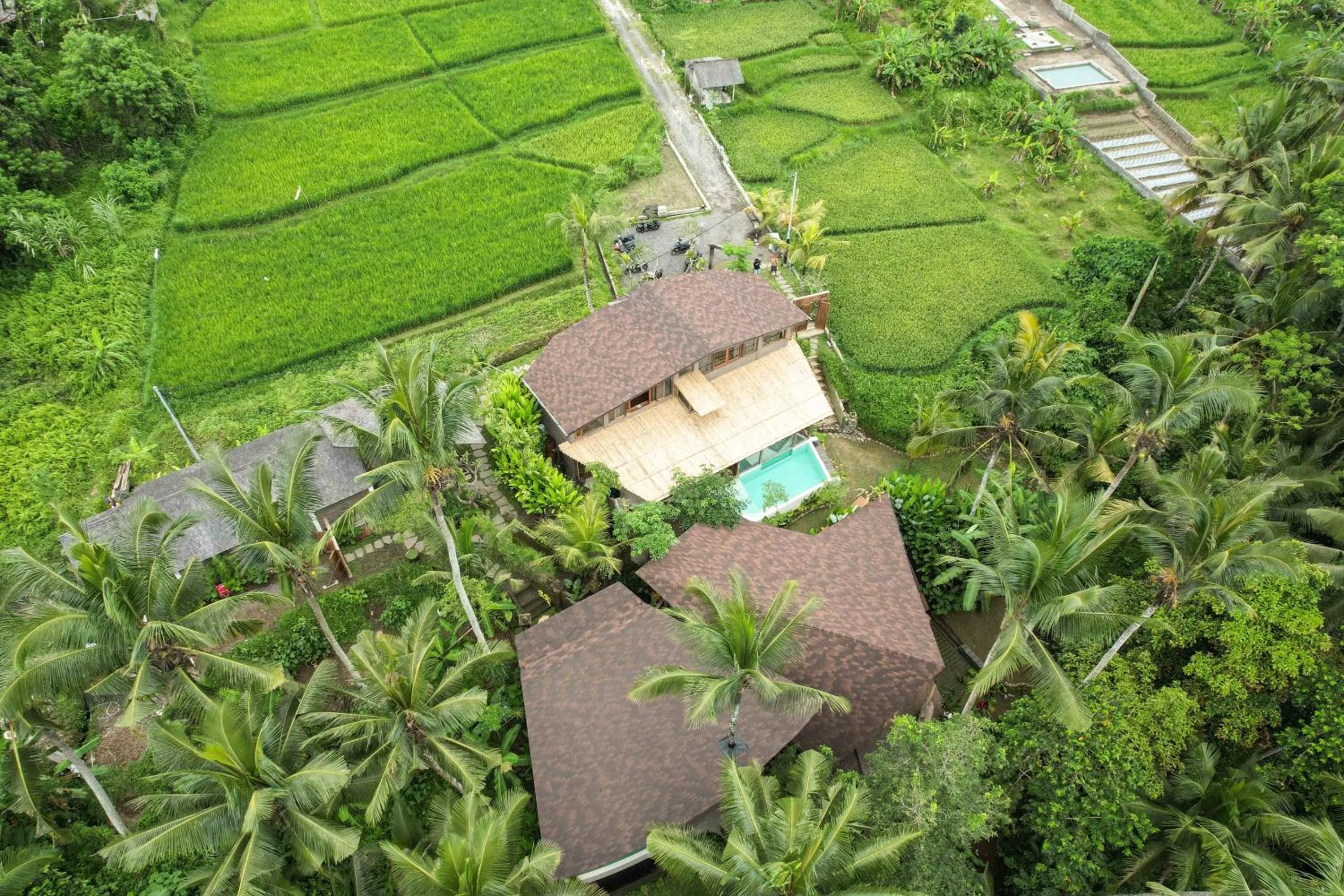 Casa Pohon Ubud