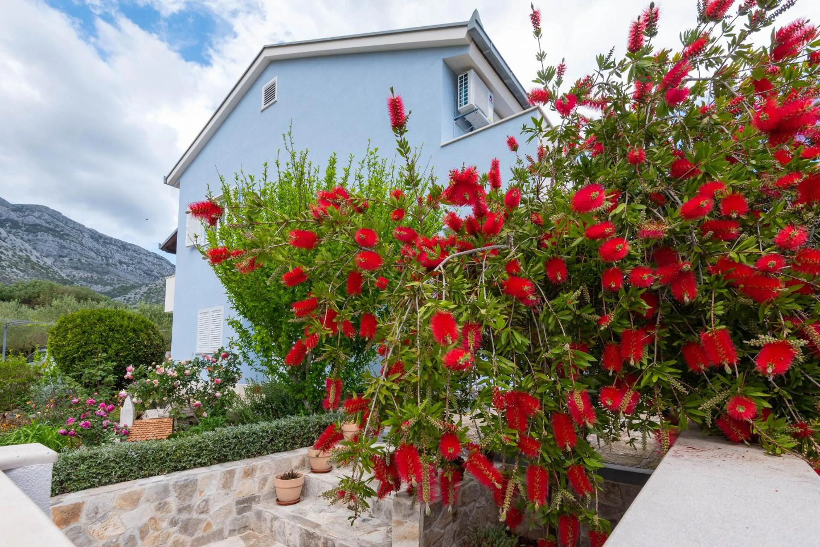 Property building in Apartments Ivana