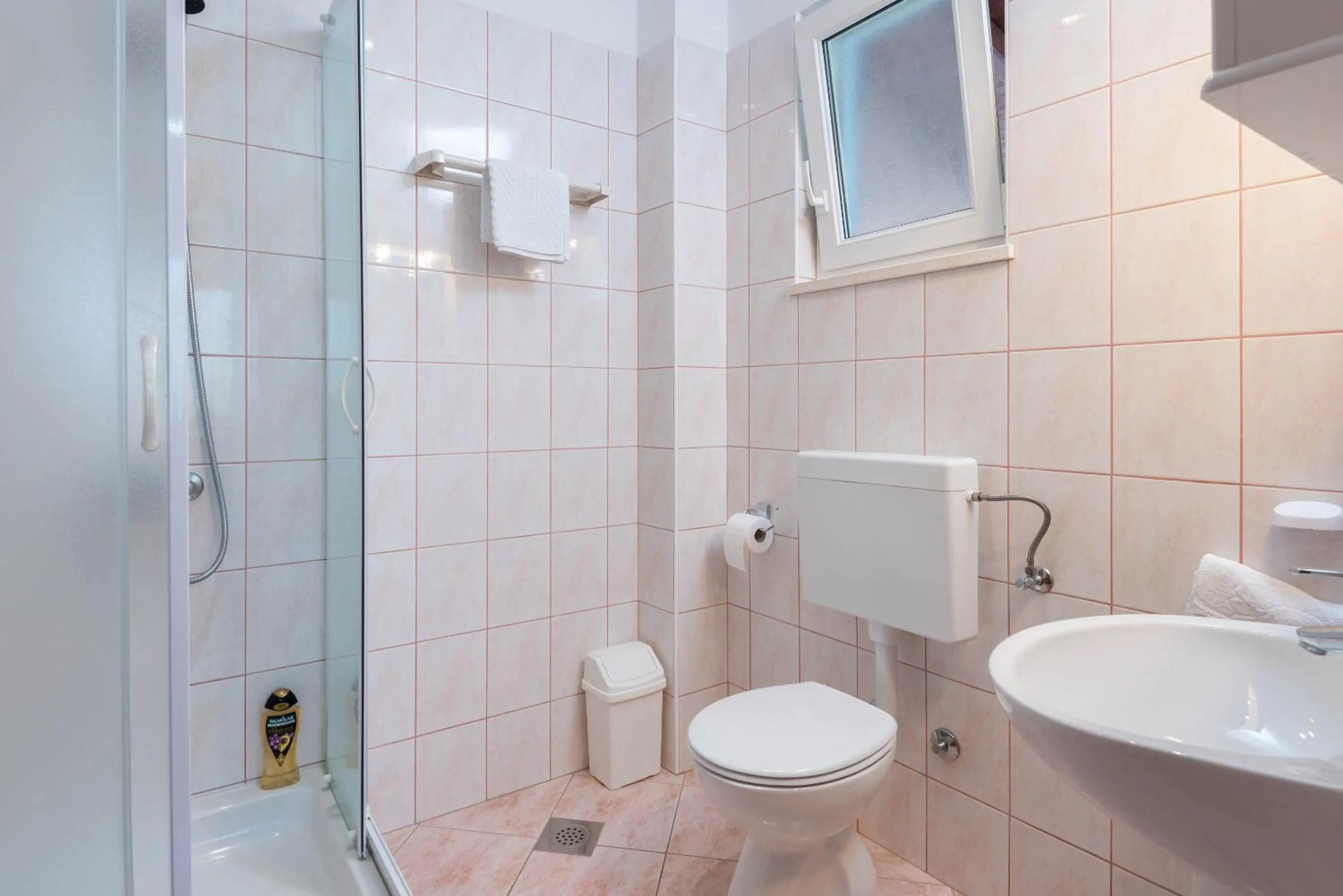 Shower in Apartments Ivana