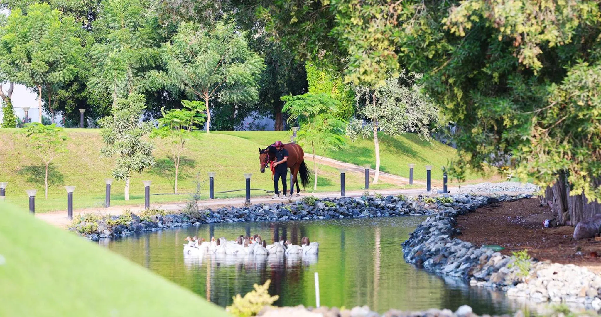 People in Nirvana Retreat By Patanjali Wellness Initiative