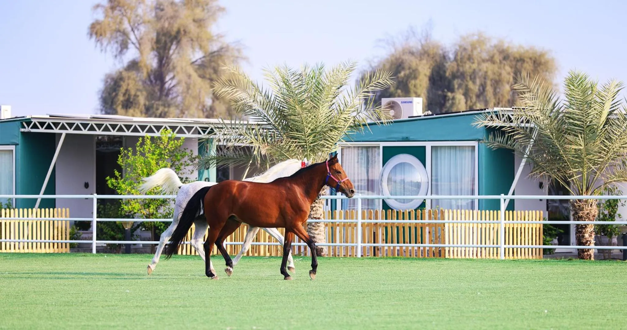 Day in Nirvana Retreat By Patanjali Wellness Initiative