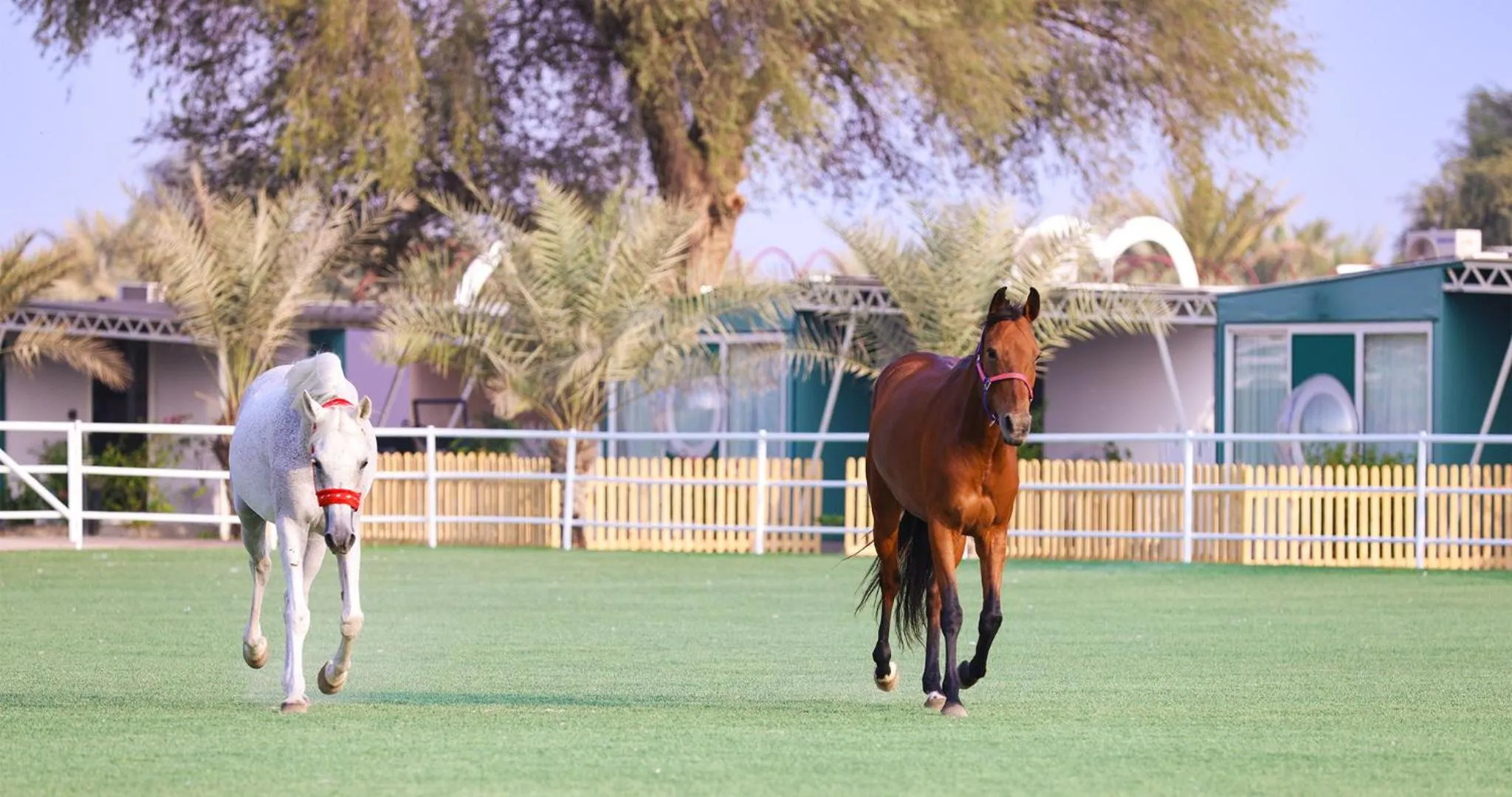 Day in Nirvana Retreat By Patanjali Wellness Initiative