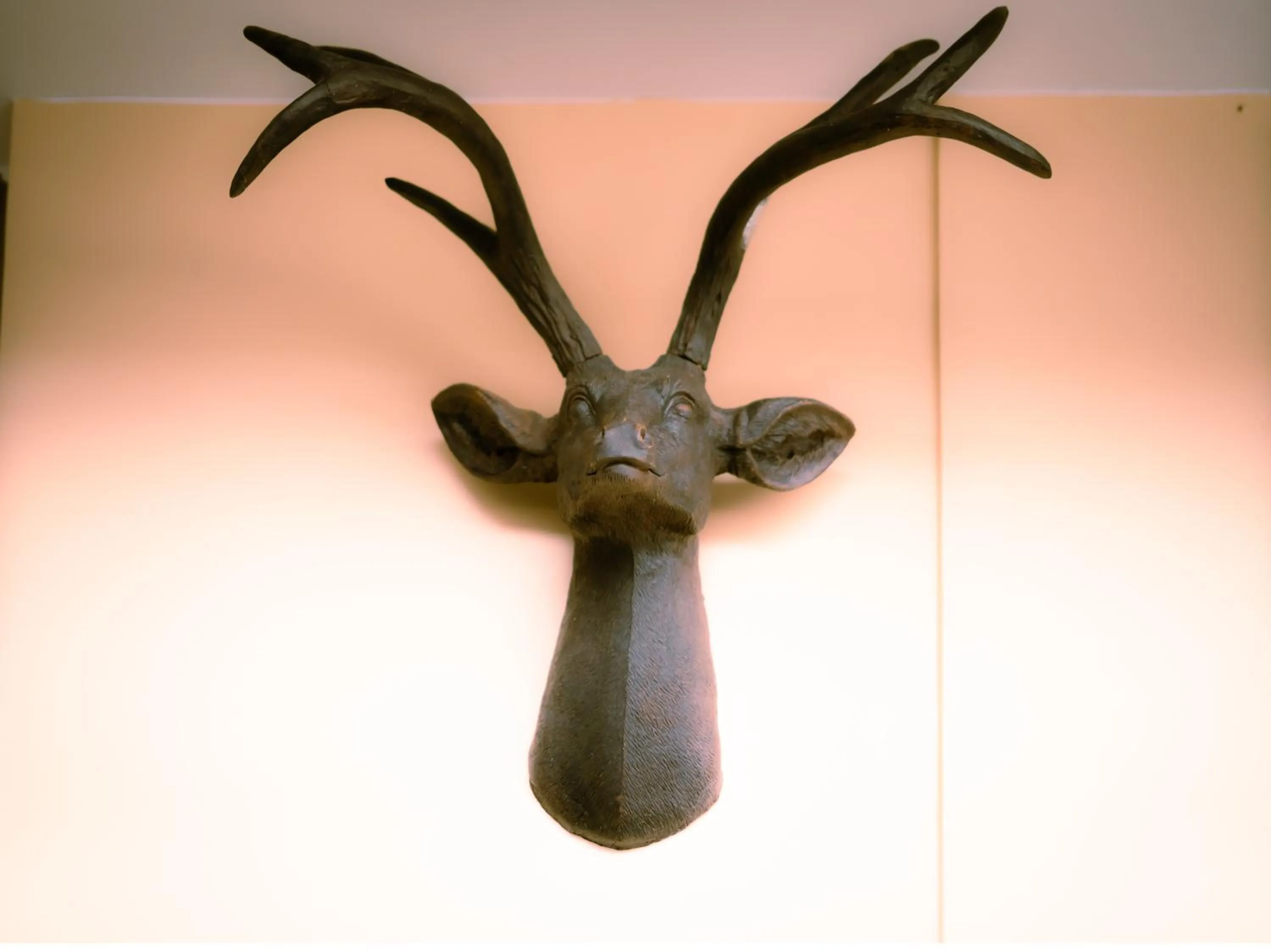 Property building in Magnificent Hotel