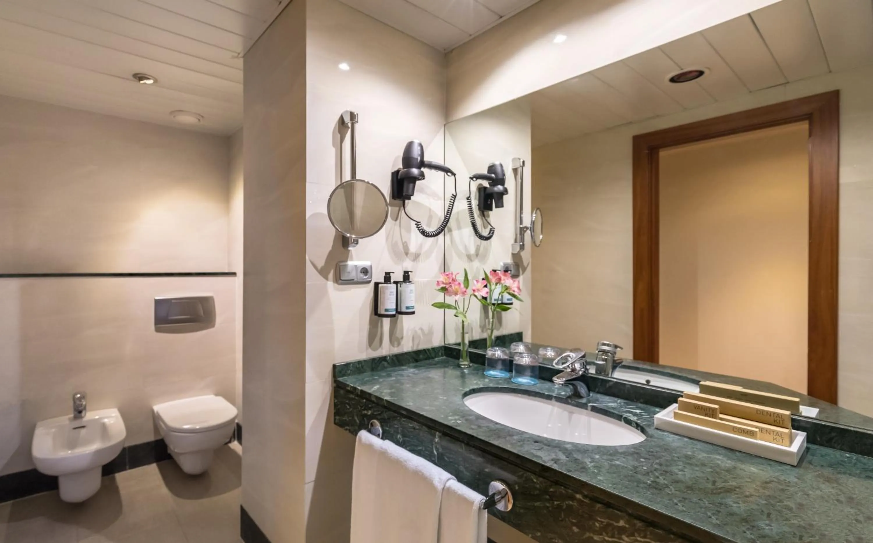 Toilet in Occidental Granada