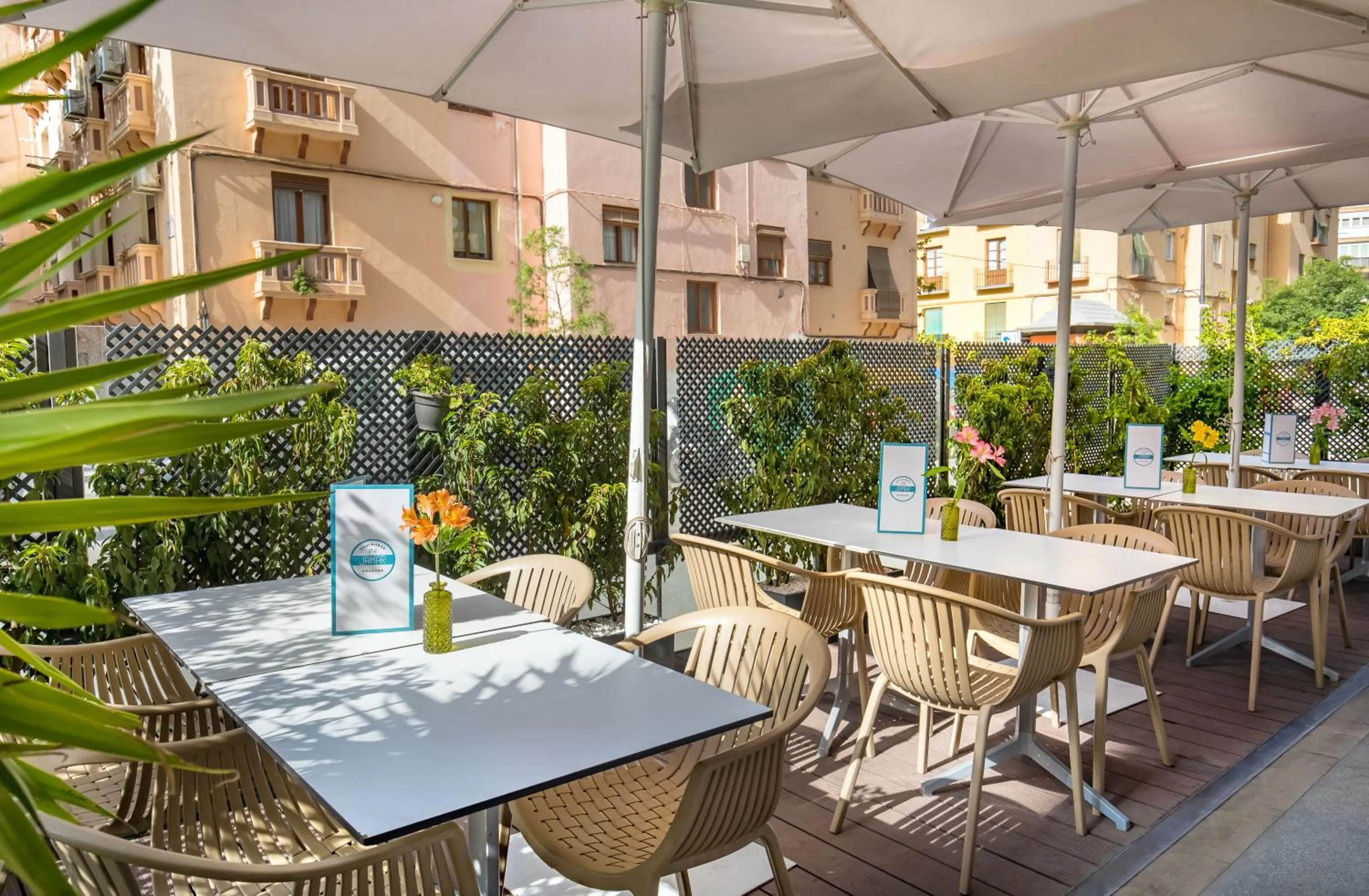 Day in Occidental Granada