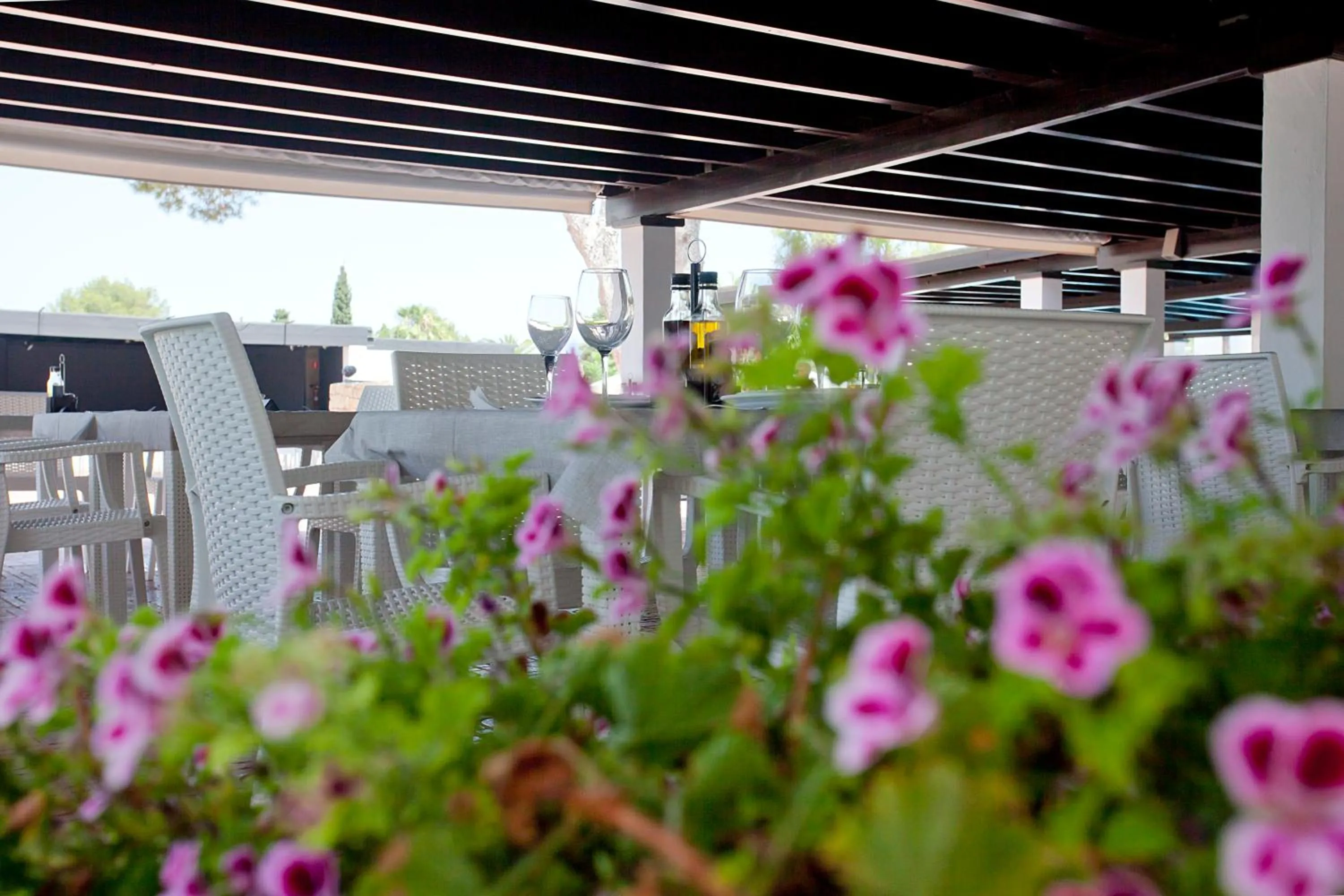 Restaurant/places to eat in Club Cala Azul