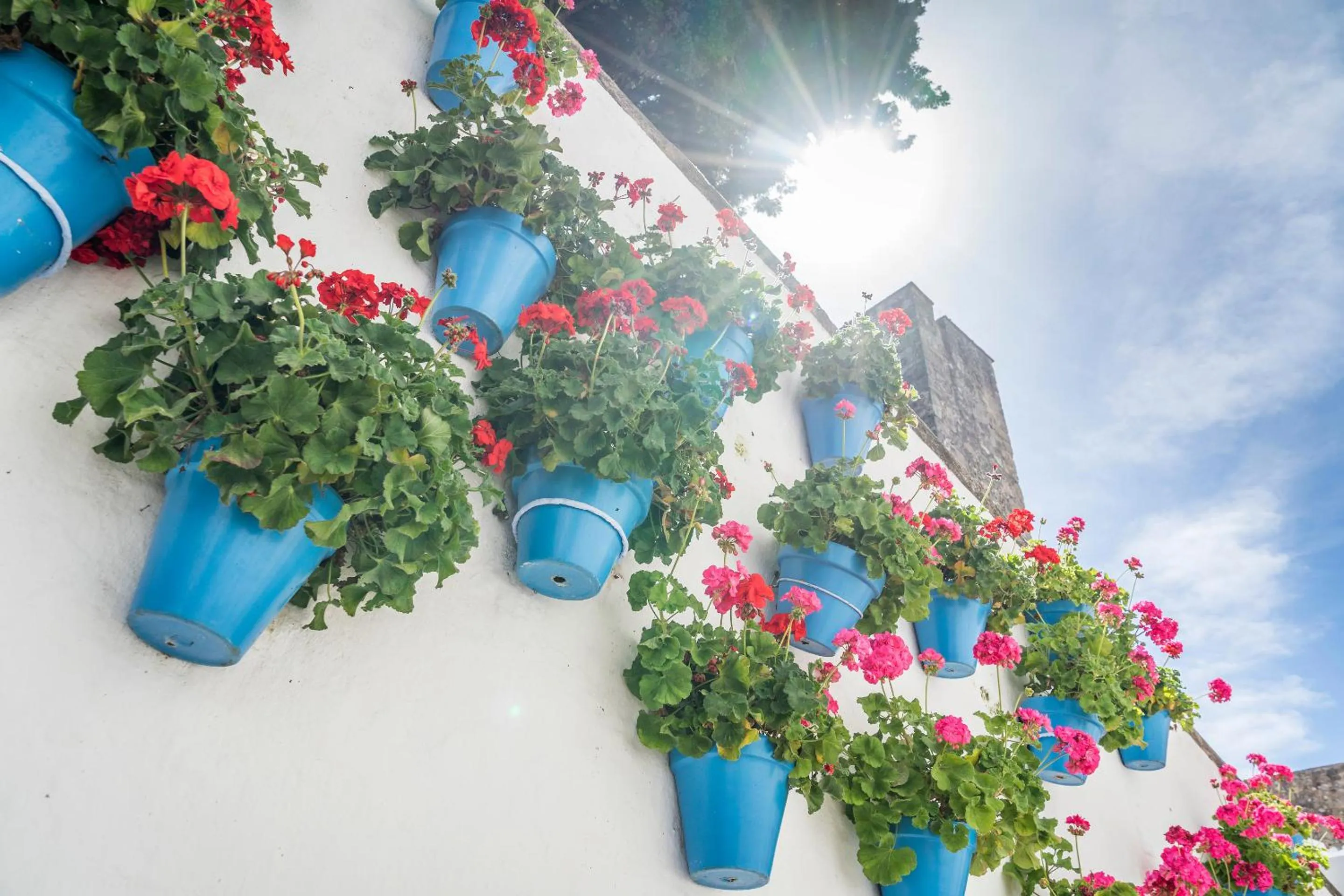 Neighbourhood in Óbal Hotel Marbella