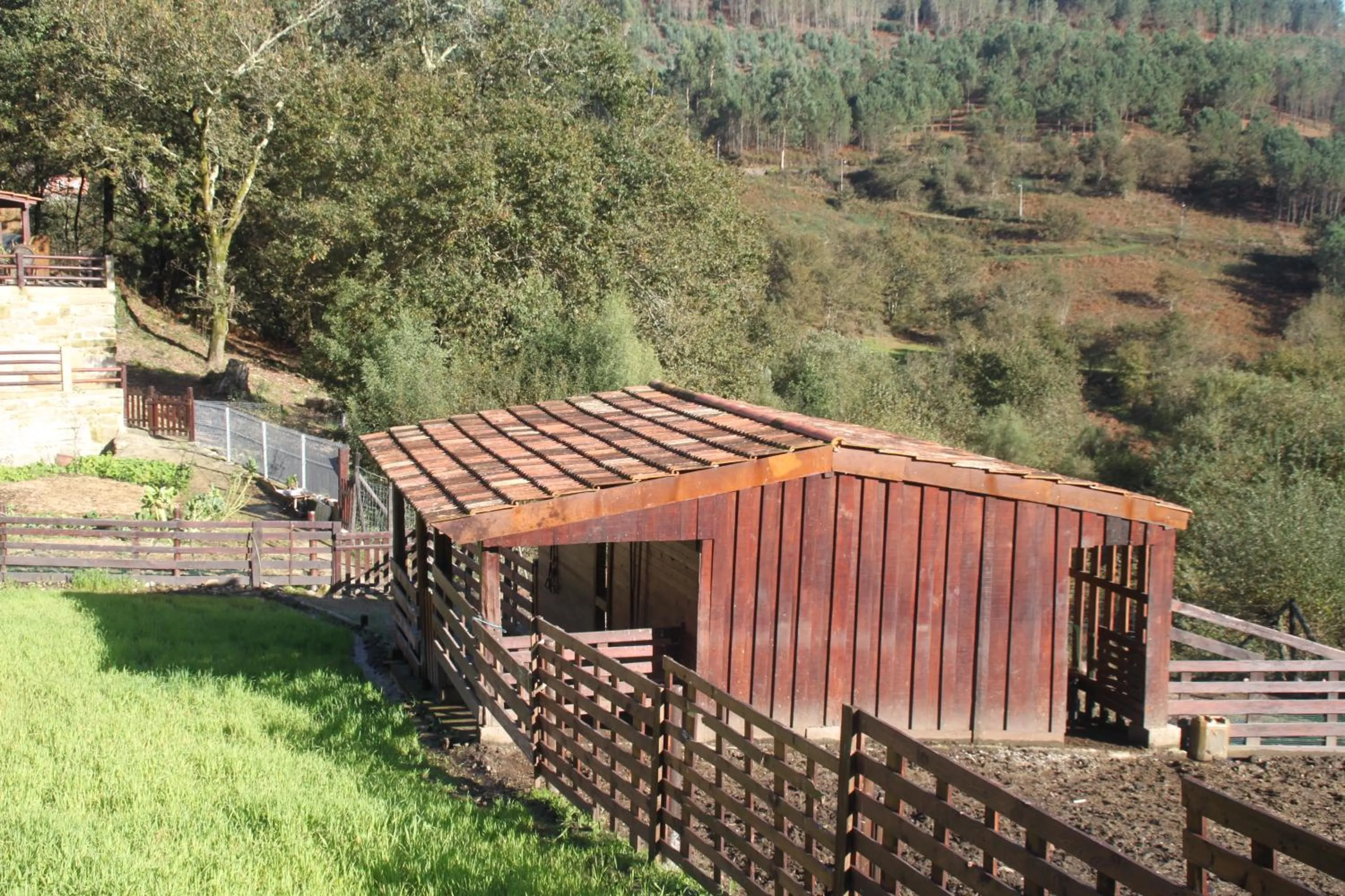 Animals in Hotel a Ecogranxa