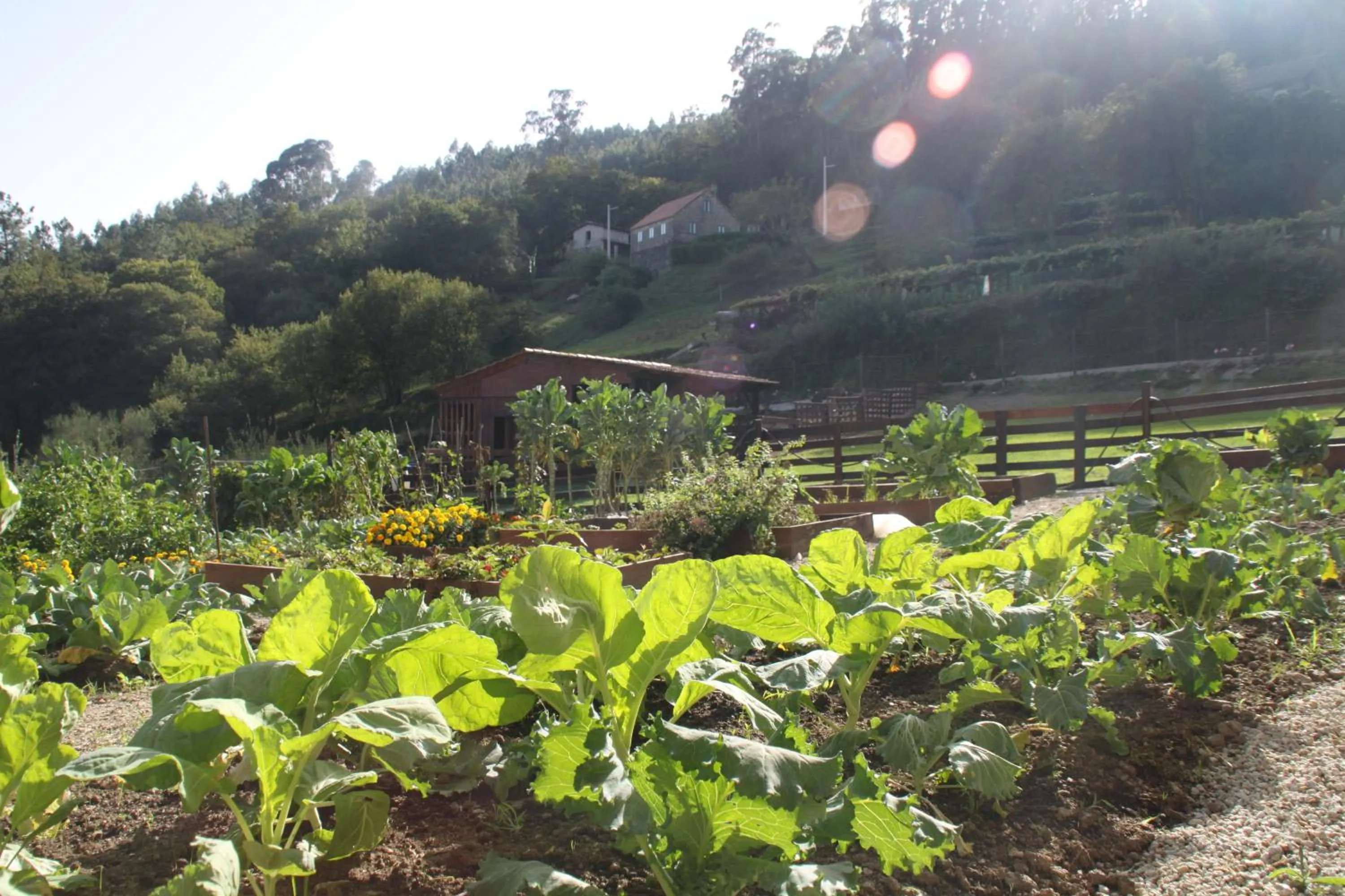 Garden in Hotel a Ecogranxa