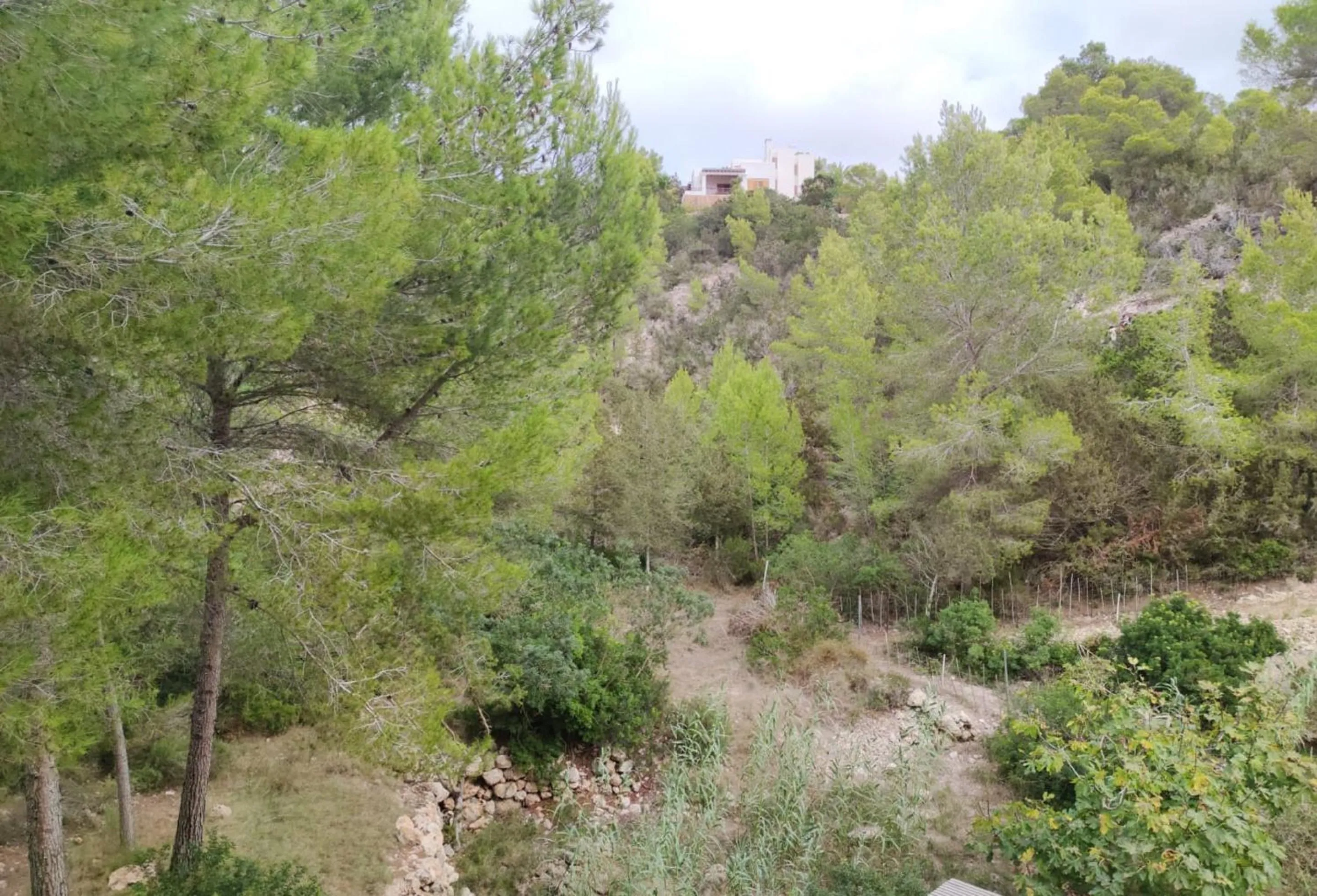 Mountain view in Aparthotel Puerto Cala Vadella
