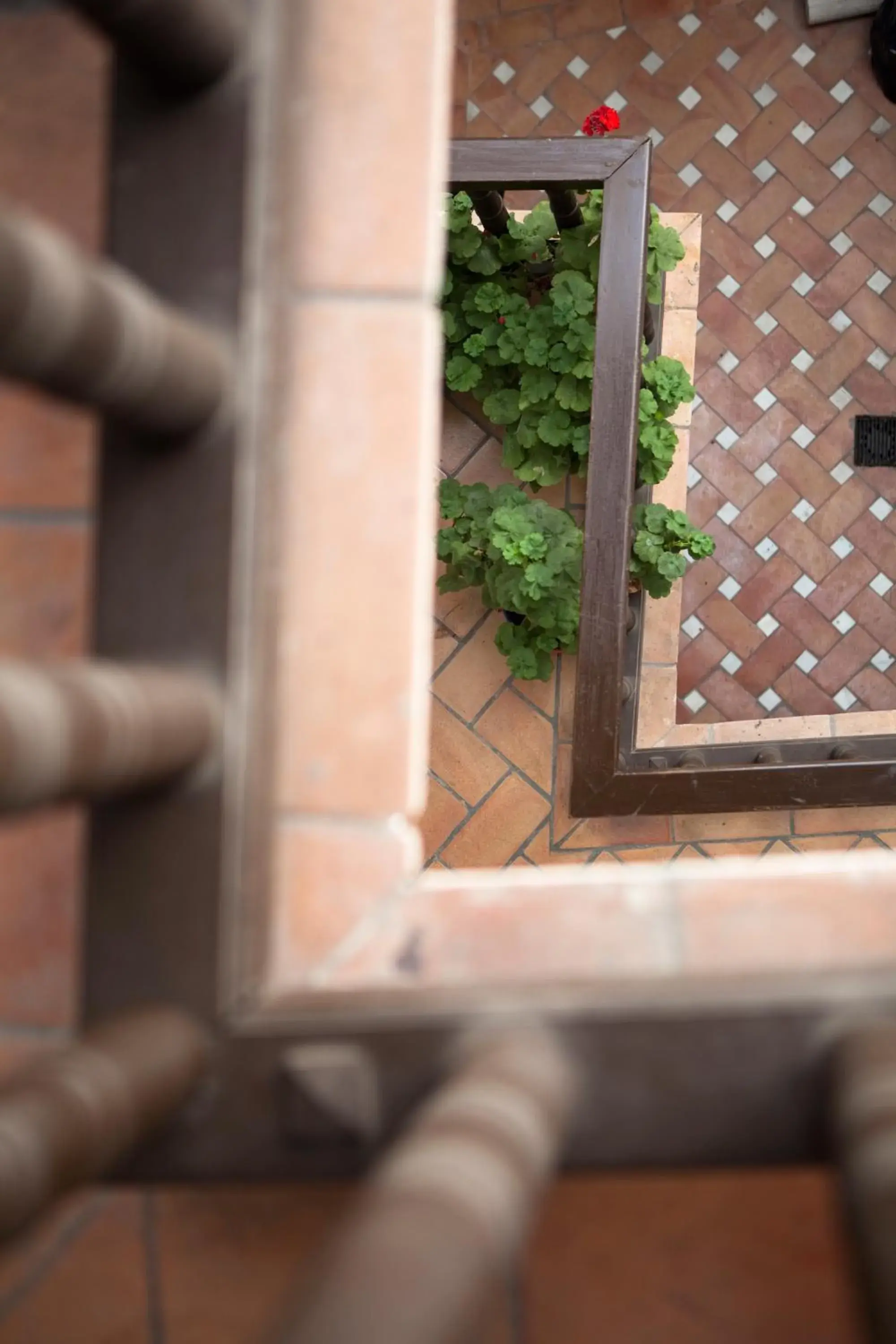 Standard Double or Twin Room in Casa del Capitel Nazarí Standard Double or Twin Room in Casa del Capitel Nazarí