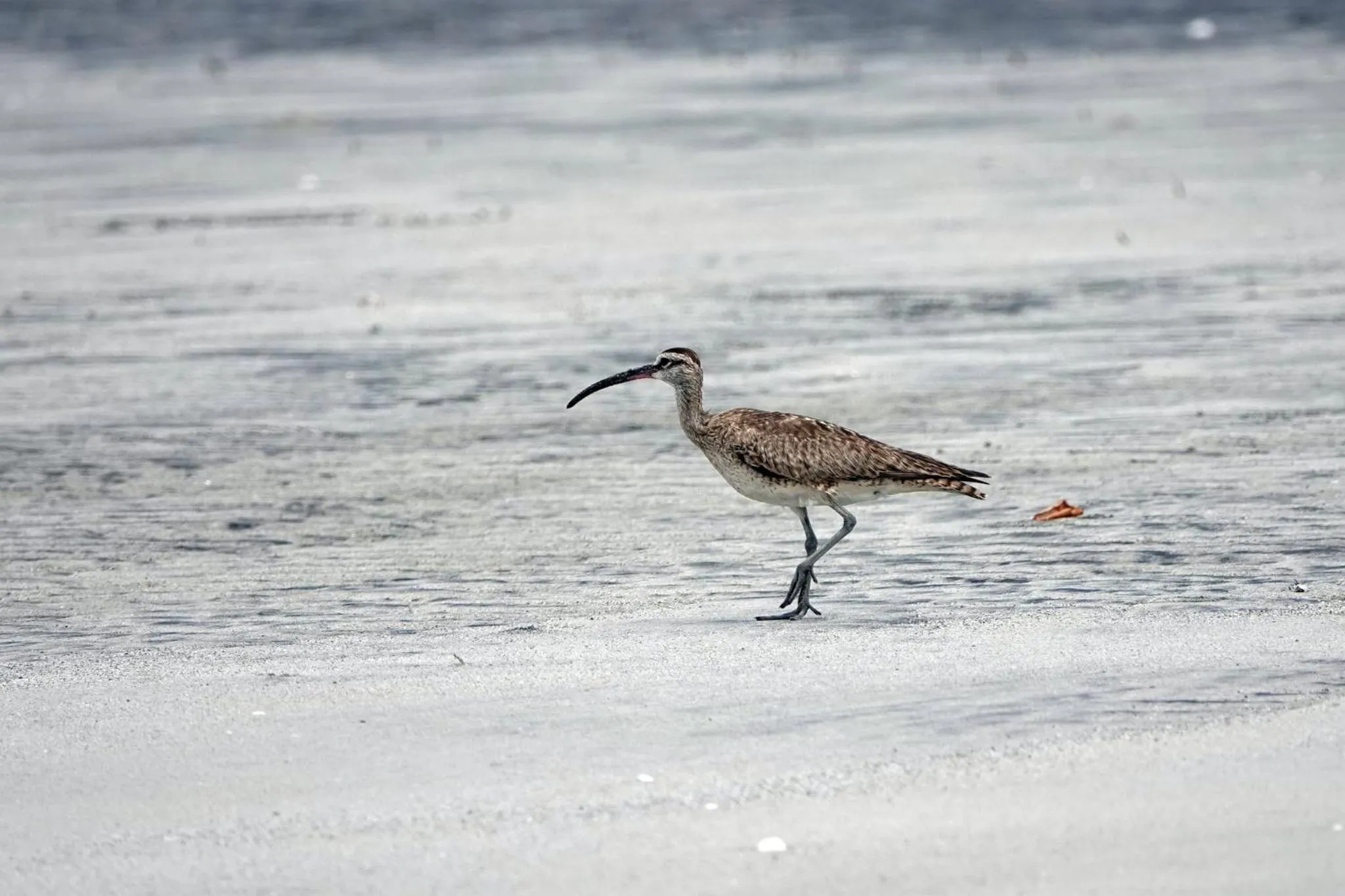 HOTEL CASA AMARILLA et RESTAURANT