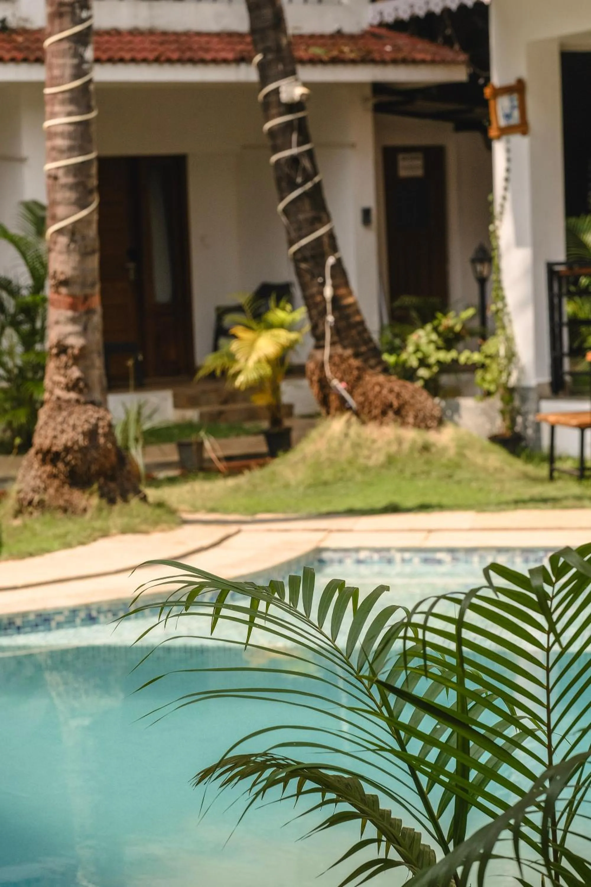 Swimming pool in The Verda De Miranda Resort Morjim North Goa