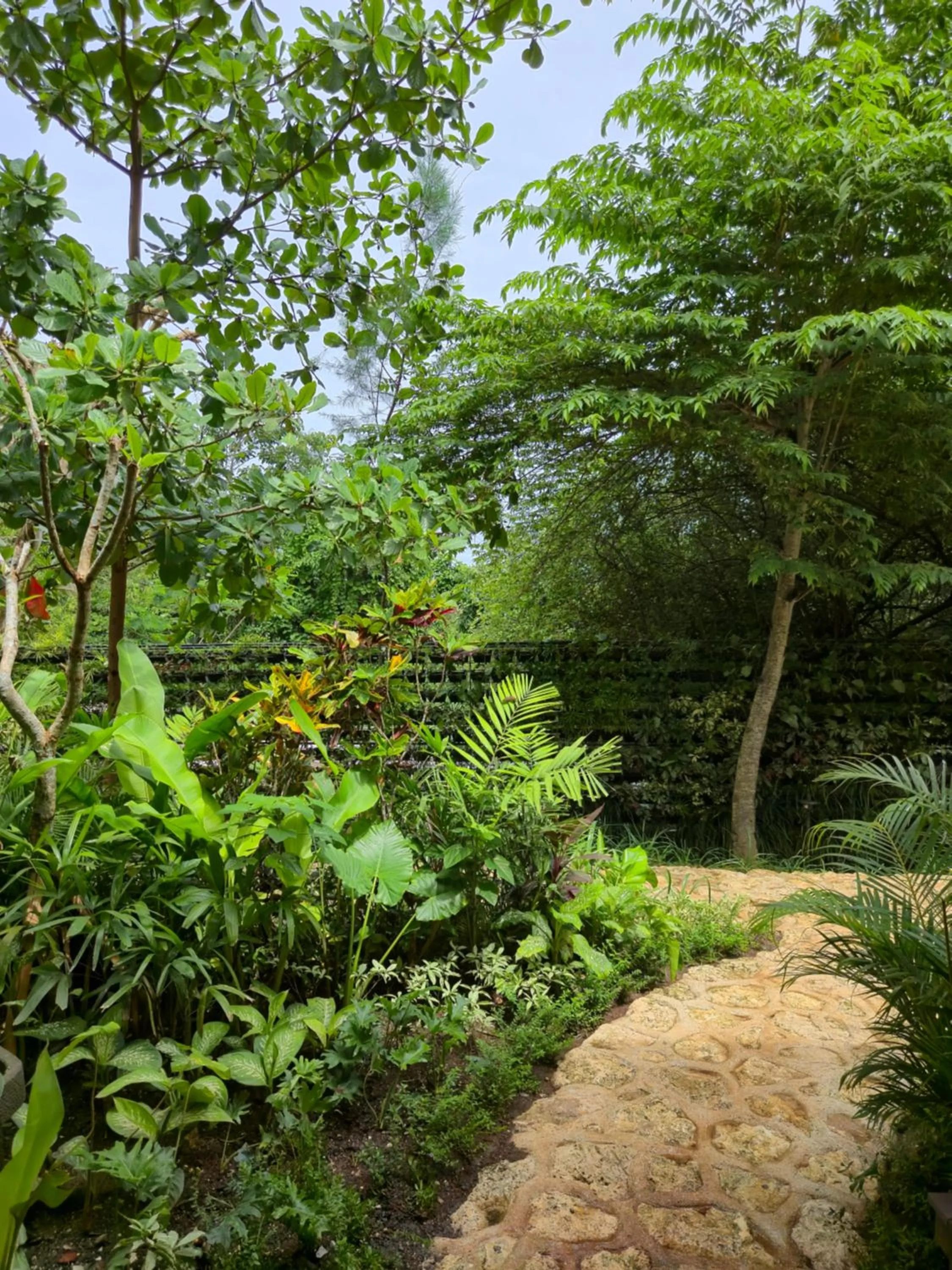 Garden in Deep Roots Dive & Yoga Resort