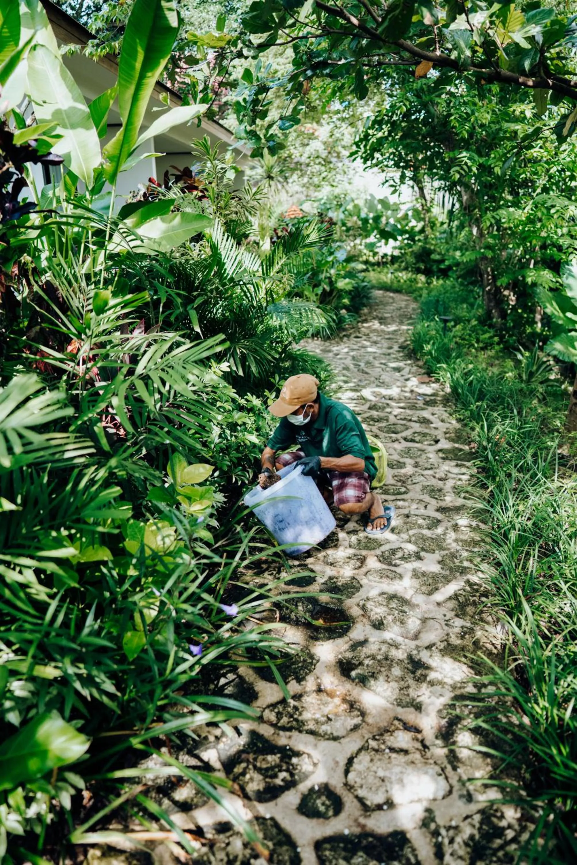 People in Deep Roots Dive & Yoga Resort