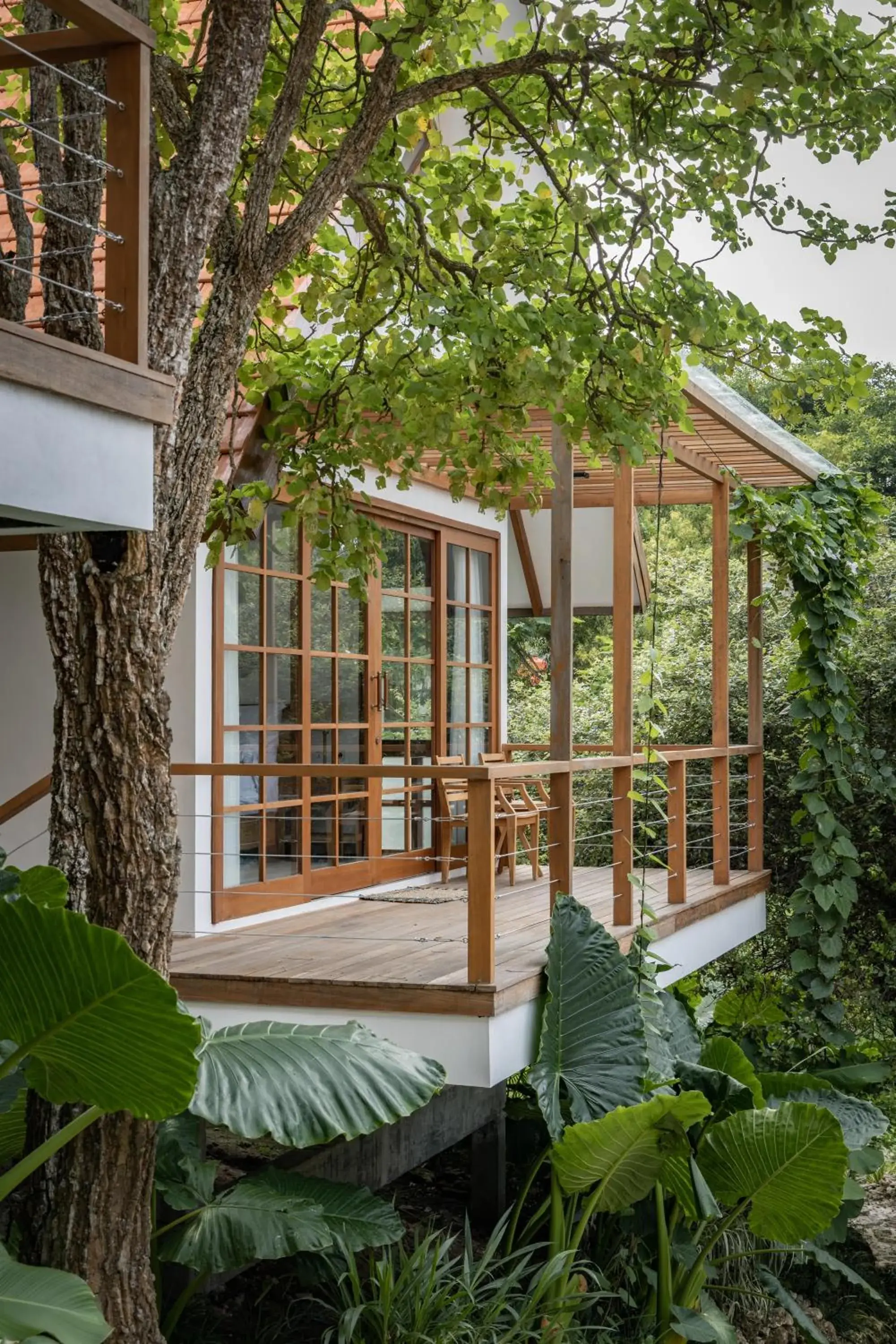 Property building in Deep Roots Dive & Yoga Resort Property building in Deep Roots Dive & Yoga Resort