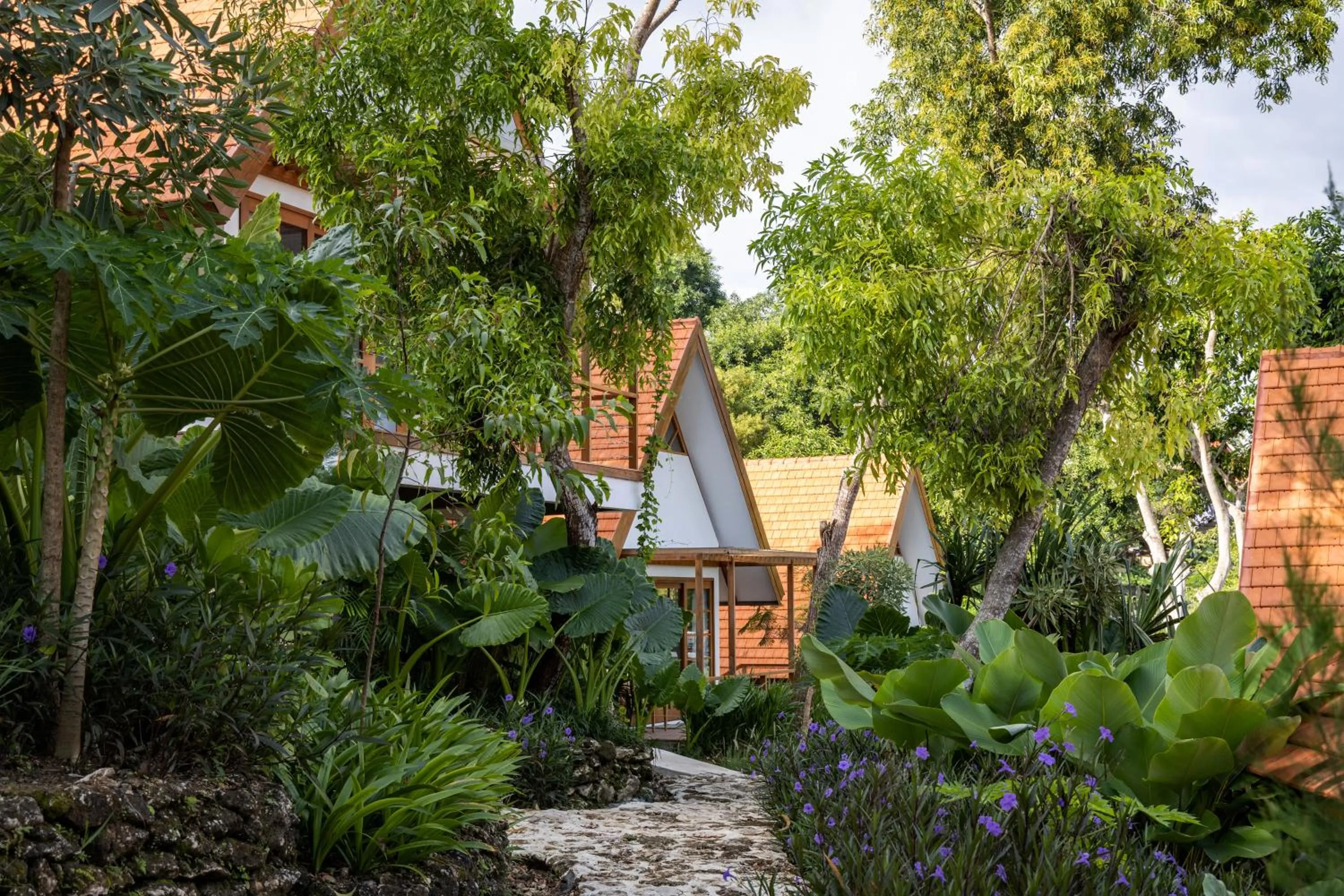 Garden view in Deep Roots Dive & Yoga Resort