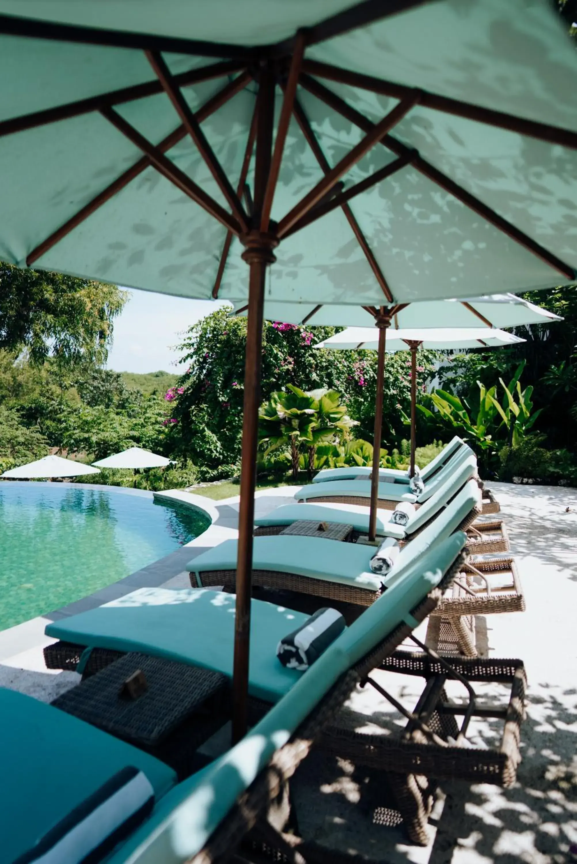 Pool view in Deep Roots Dive & Yoga Resort Pool view in Deep Roots Dive & Yoga Resort