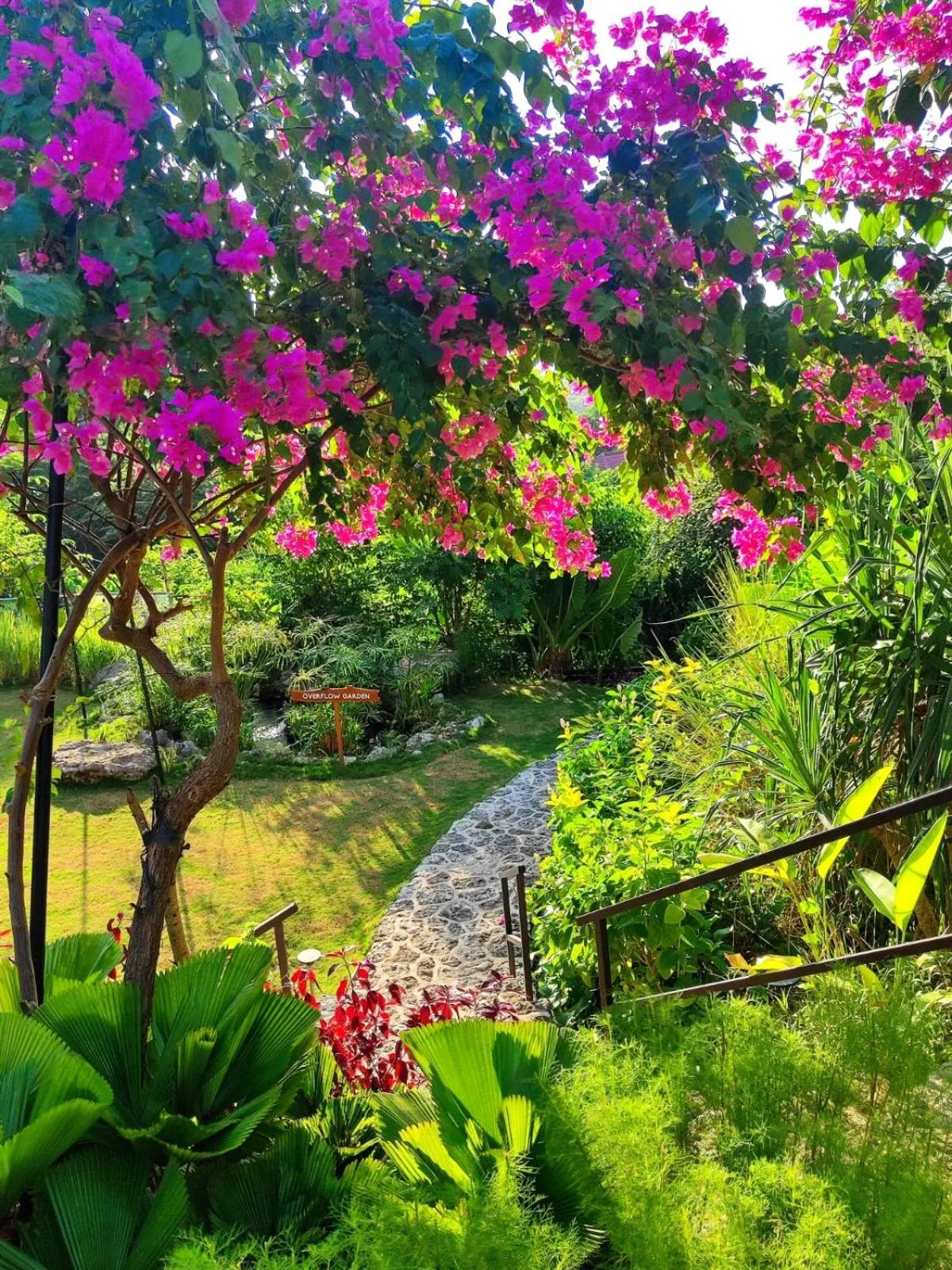 Garden in Deep Roots Dive & Yoga Resort