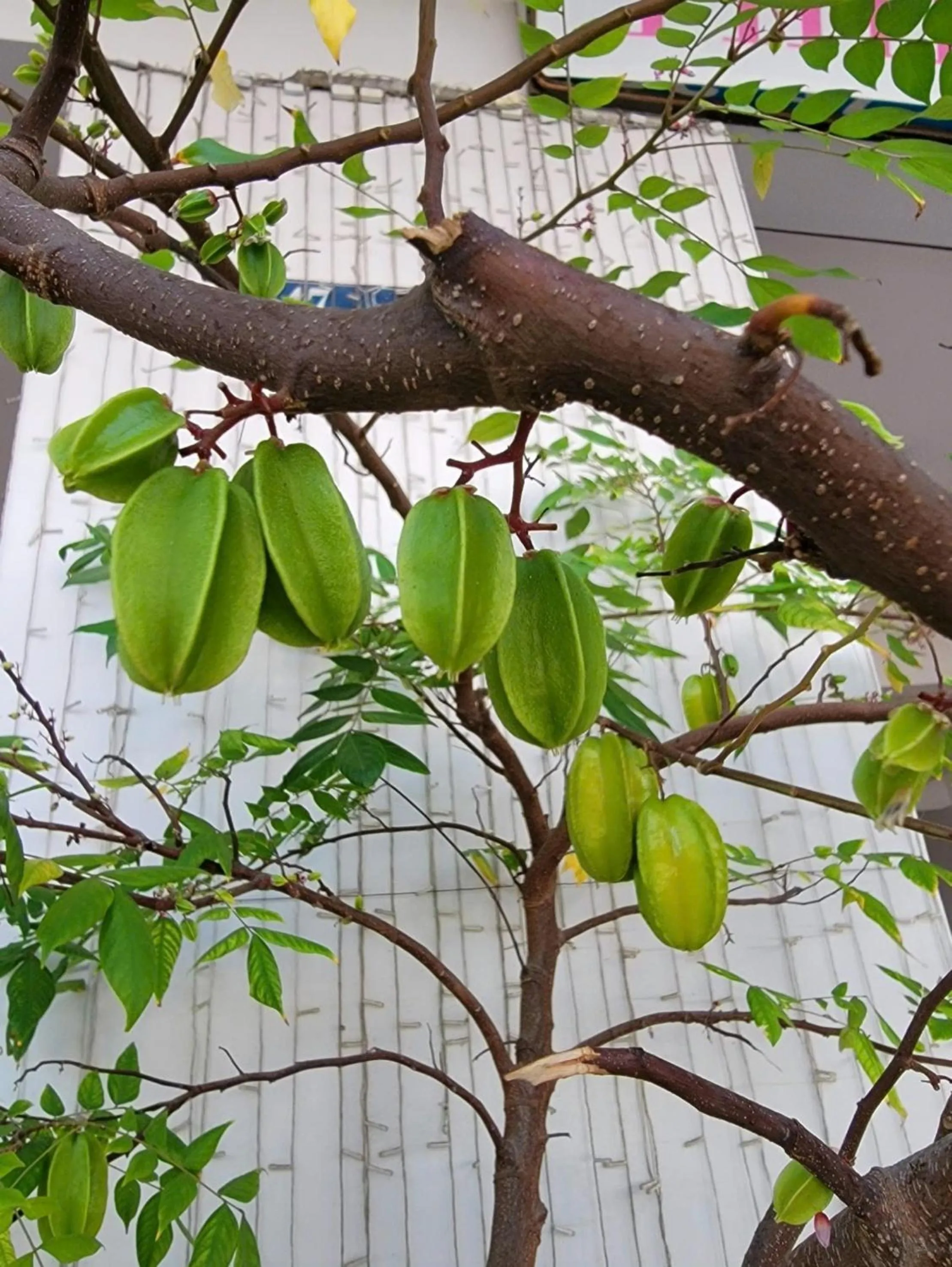 Off site in Thiên Nga Hotel