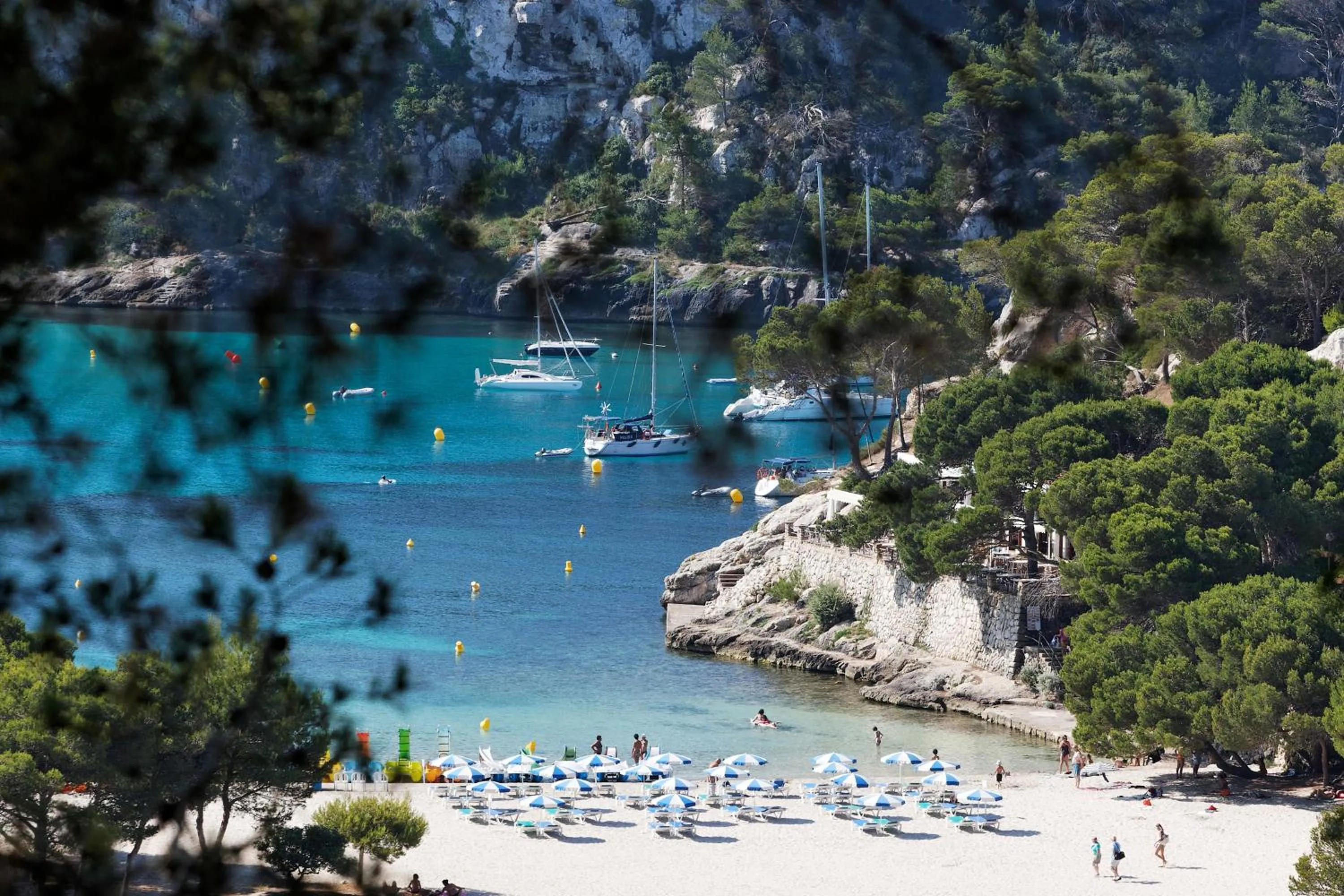 Area and facilities in Comitas Floramar