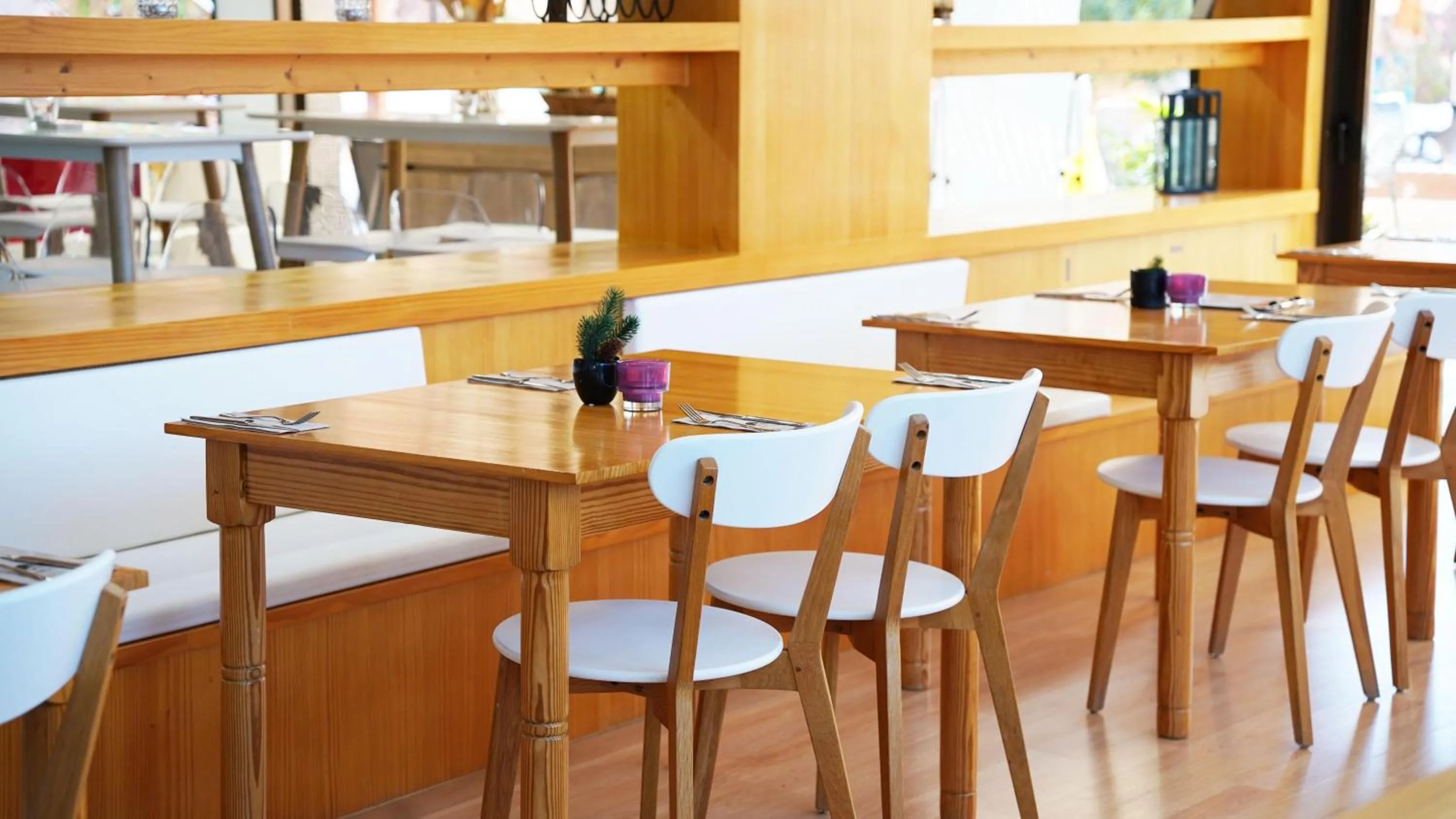 Lounge or bar in Coral Los Alisios