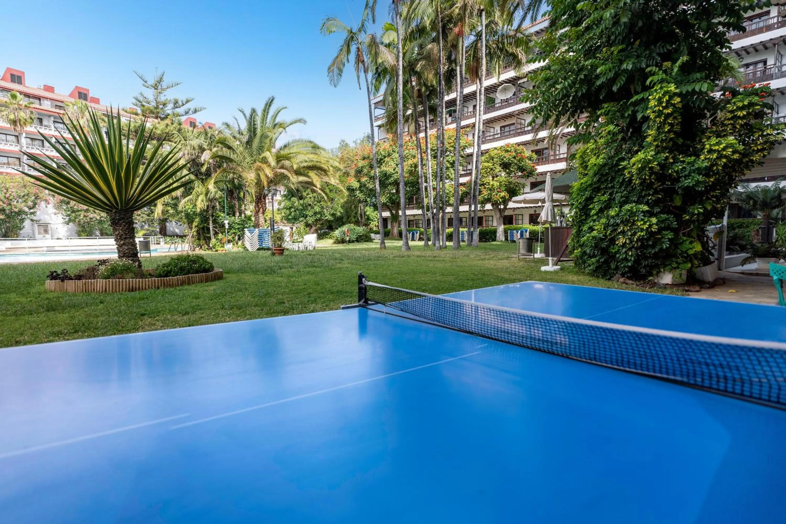 Activities in Coral Teide Mar