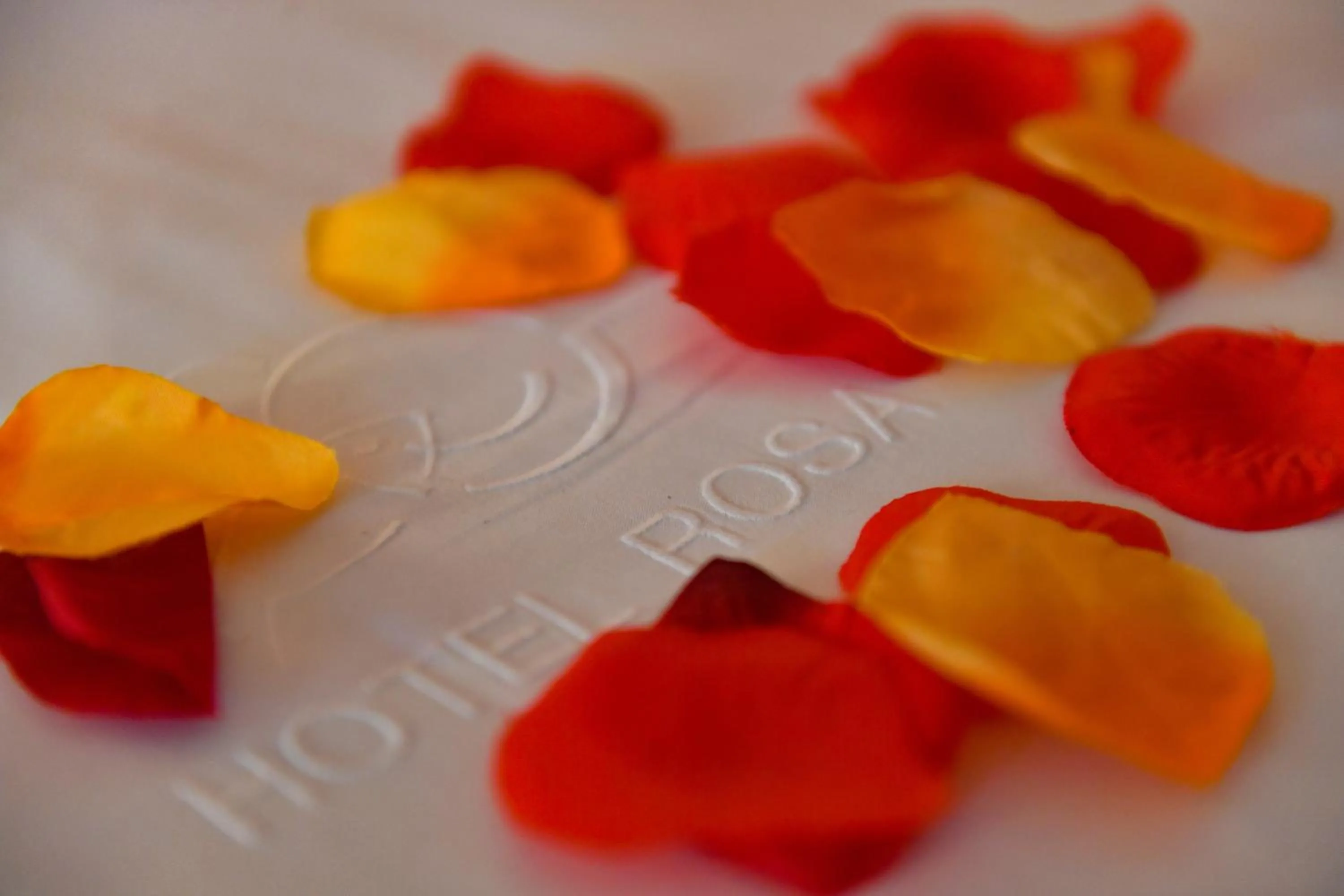 Hotel Rosa & Spa Begur