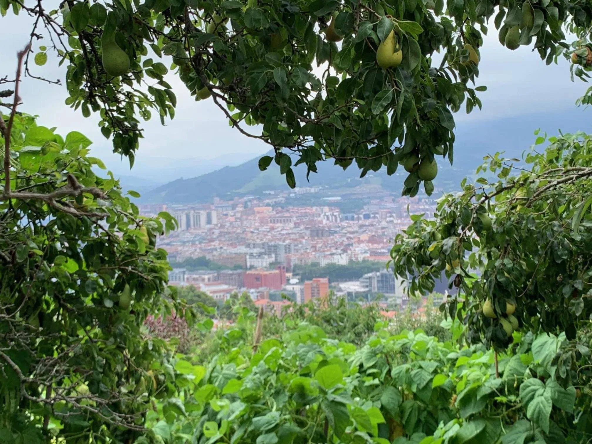 Day in Hotel Artetxe