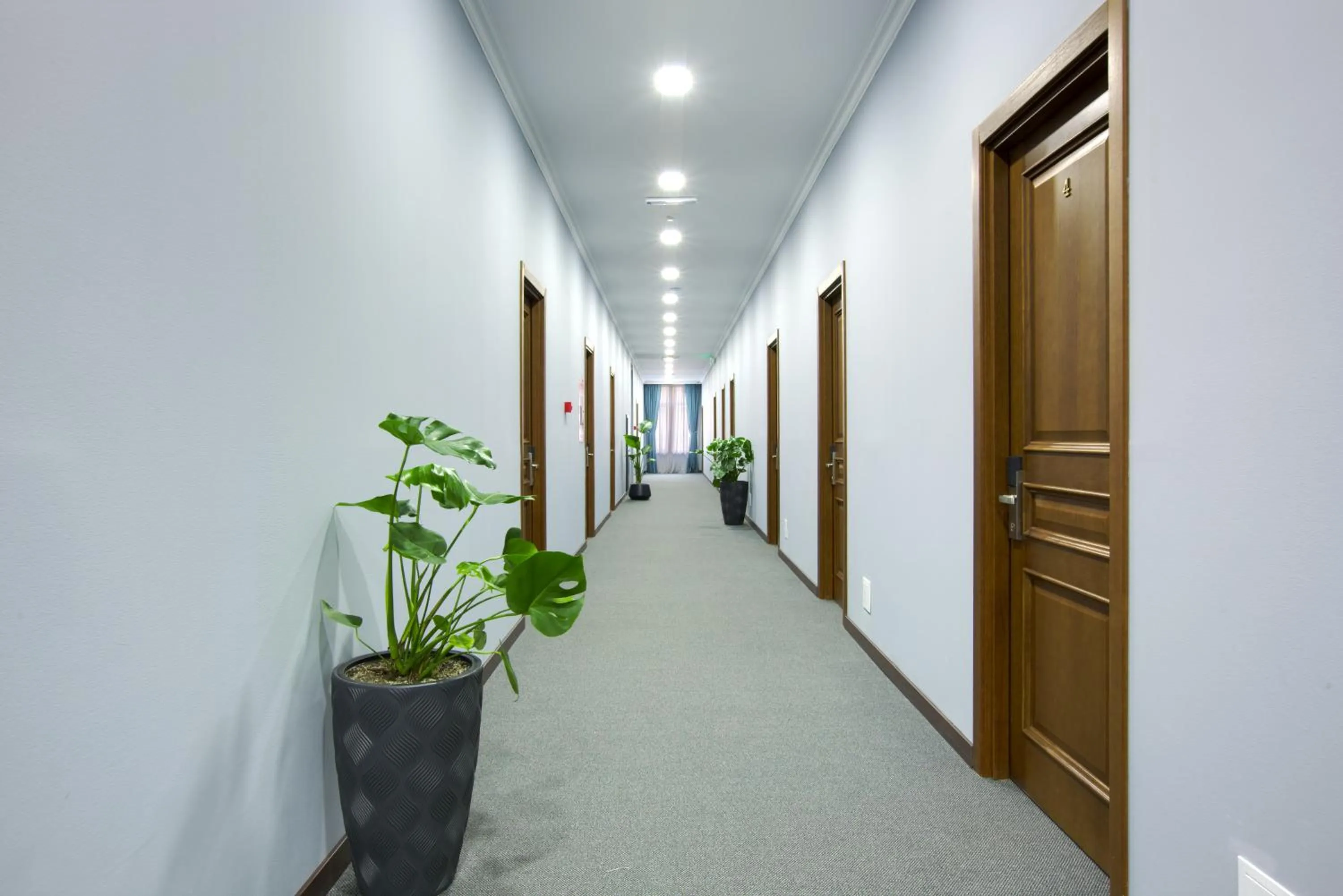 Property building in Alma Boutique Hotel