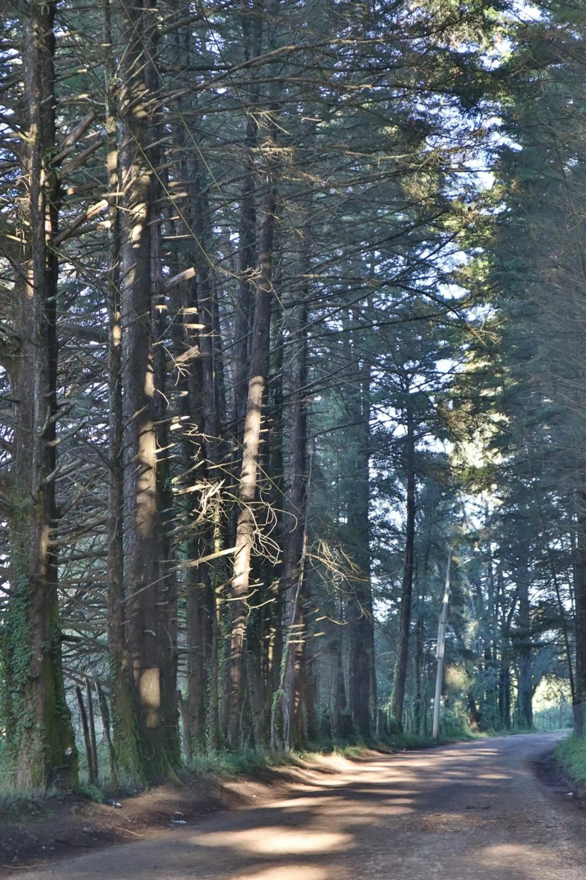 Natural landscape in MASIA ARAMENI