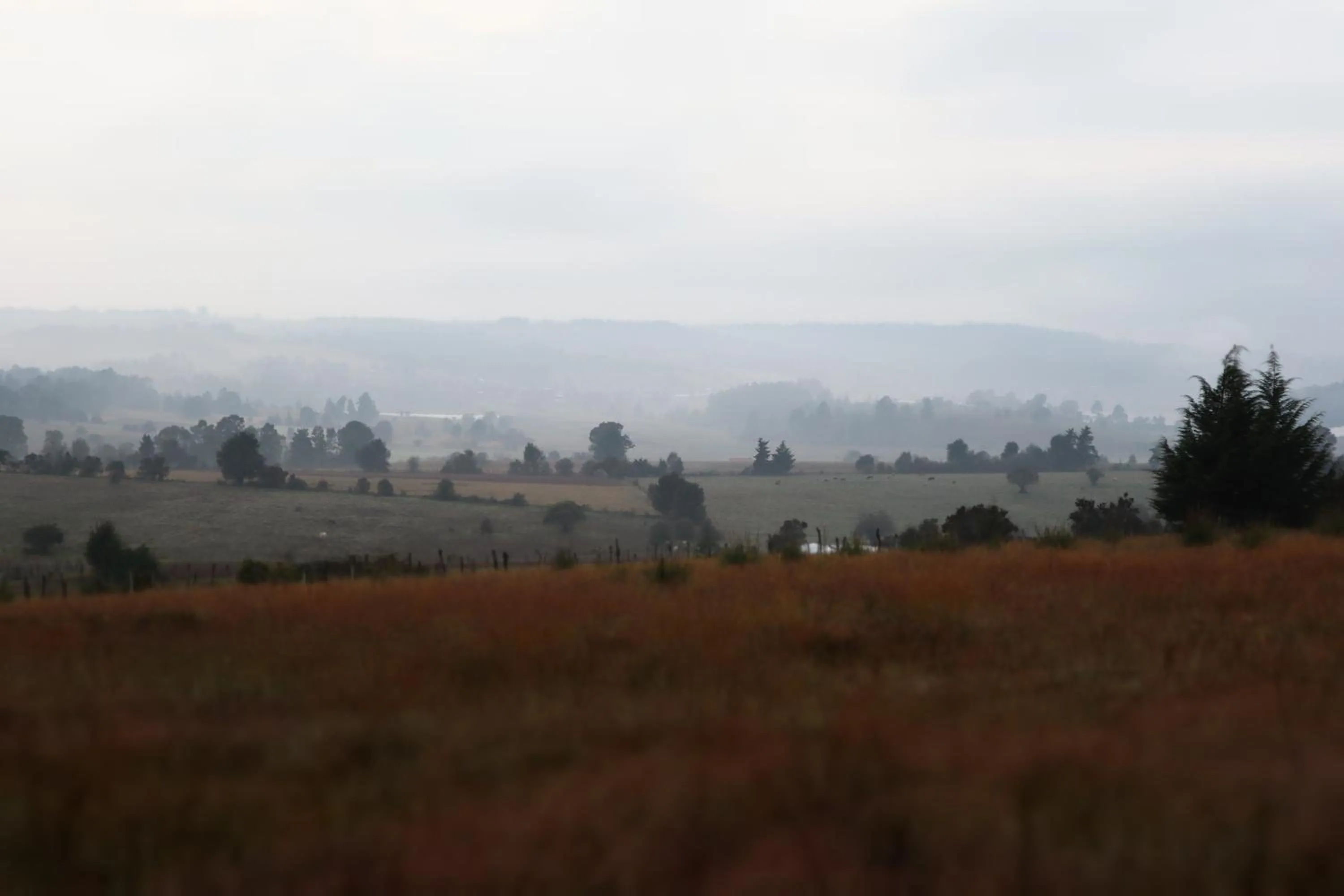 Natural landscape in MASIA ARAMENI